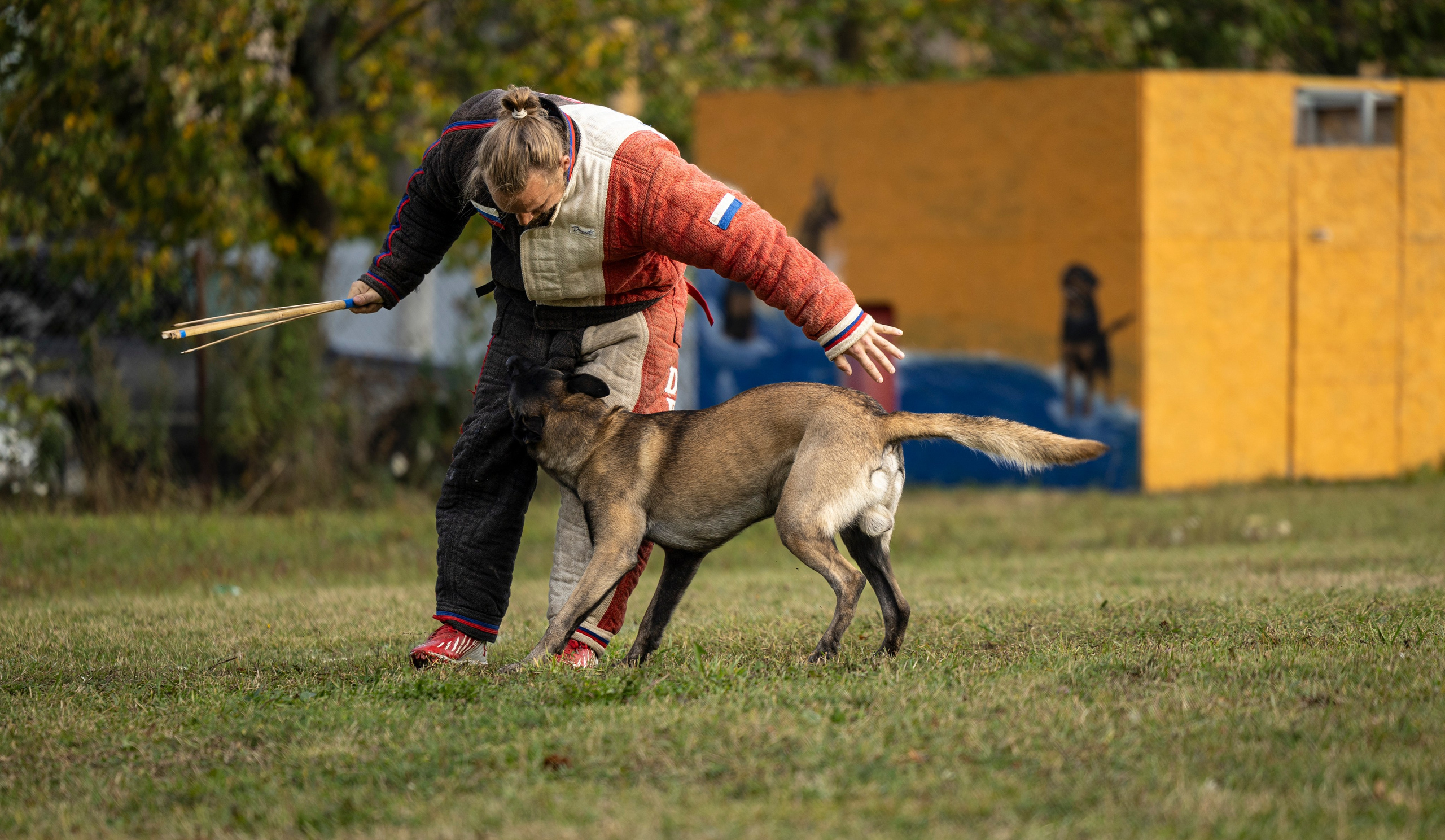 Испытания по Мондьорингу г. Пушкин. Фотограф-анималист Анна Маринич