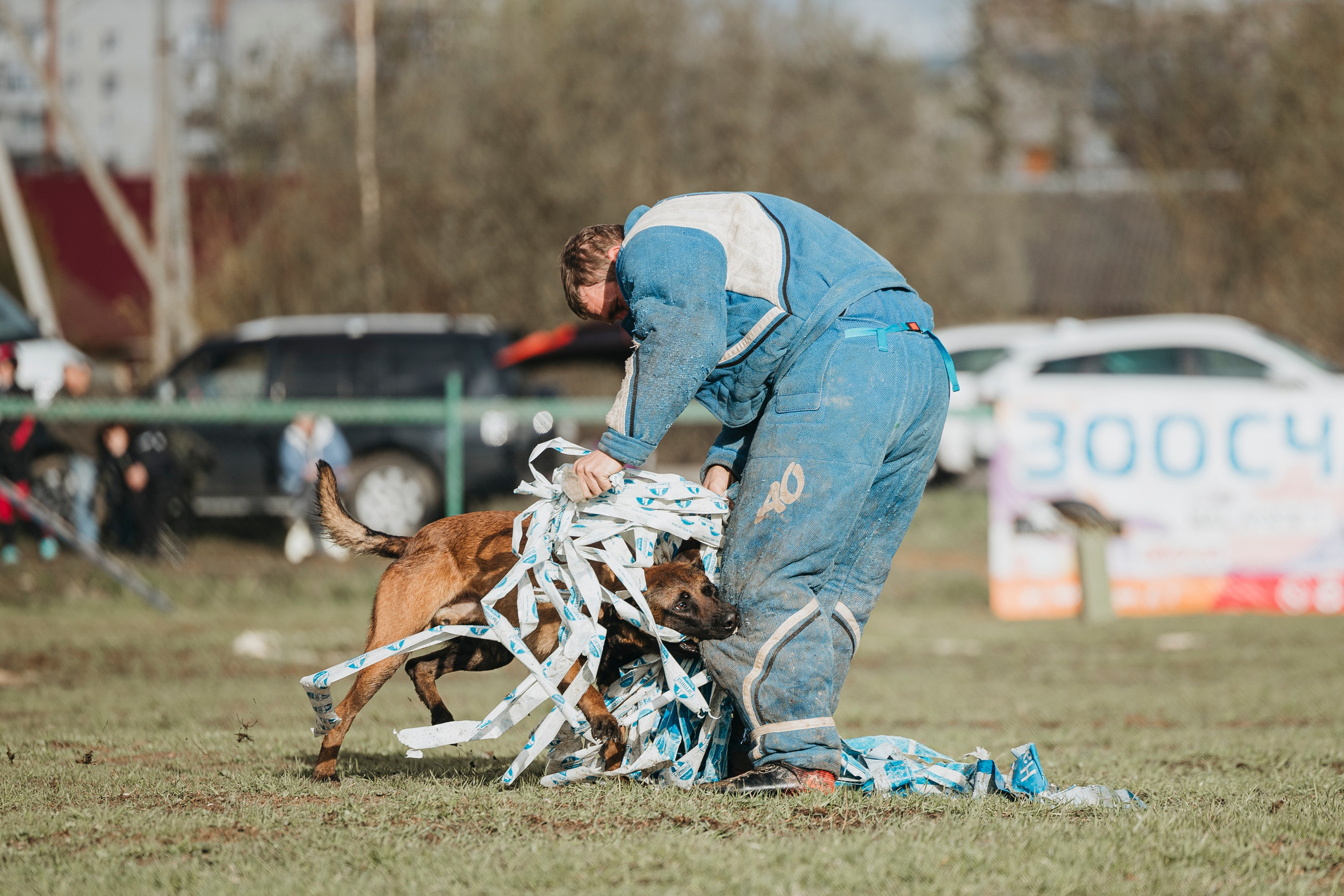 09.05.25 Вологда соревнования. Фотограф-анималист Анна Маринич