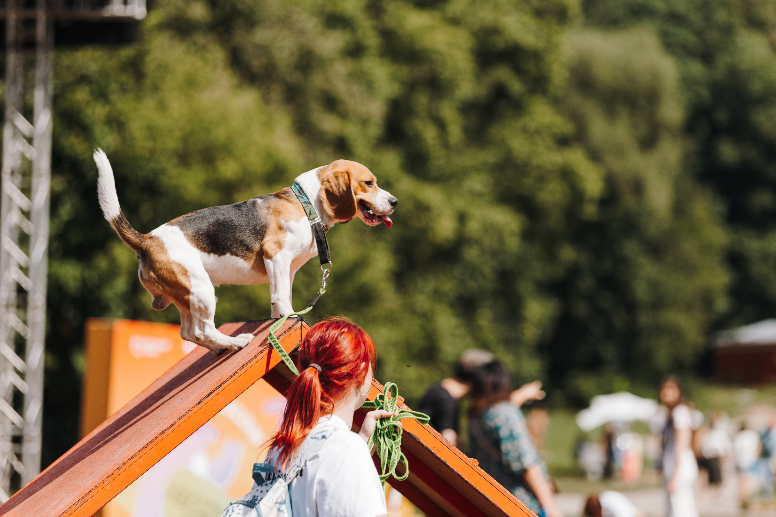 Petshop Sup day. Фотограф анималист Кристина Карпова, Москва