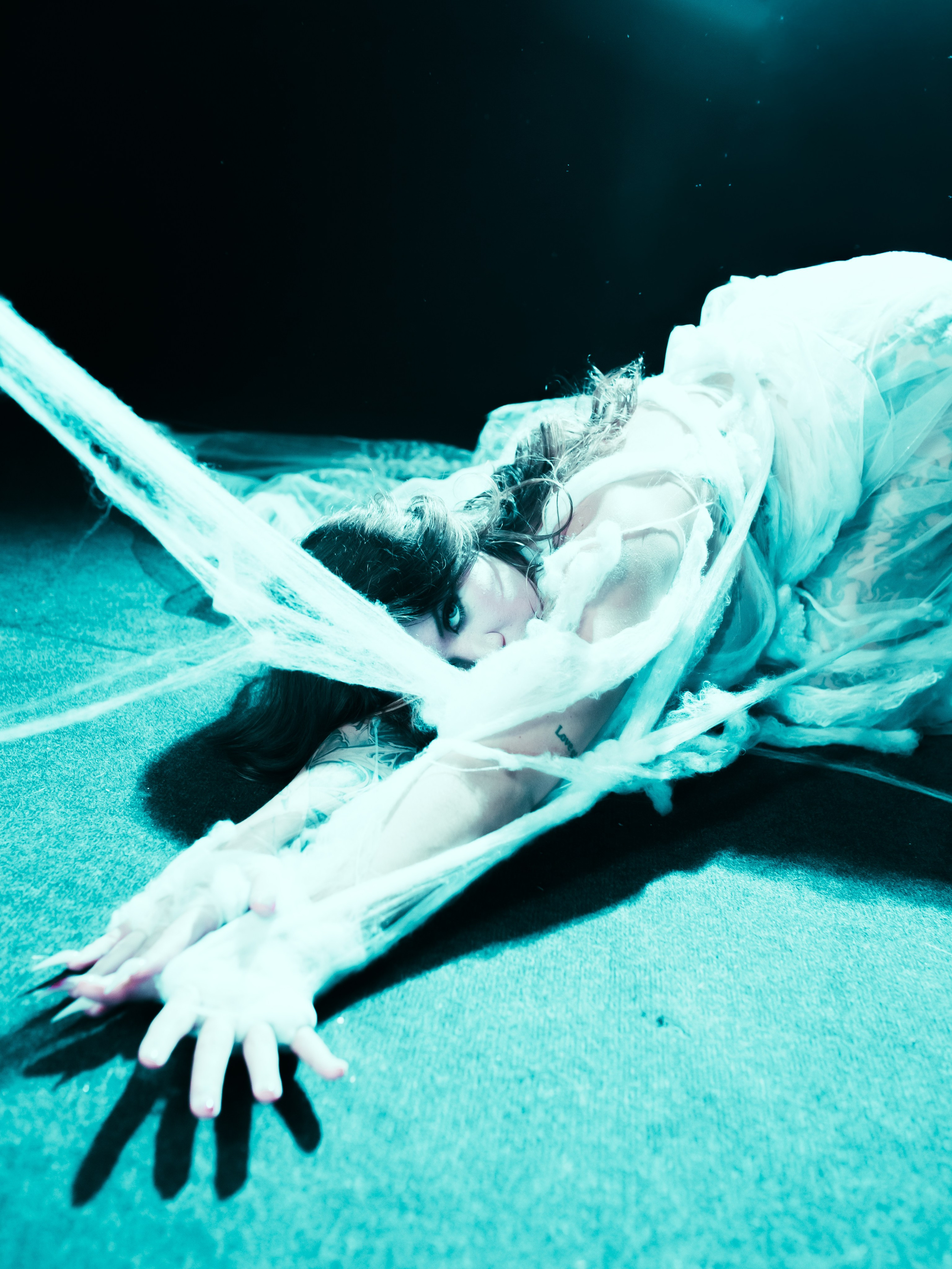 Diibae spider. Фотограф из Санкт-Петербурга Валерия Ленских