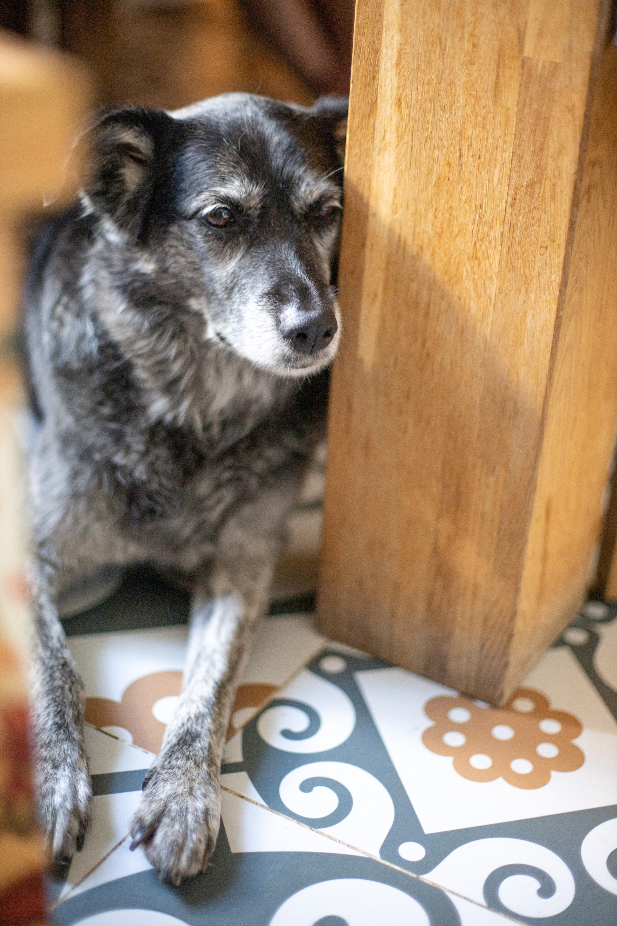 День рождения Оксаны. SaGaFOTO.ru