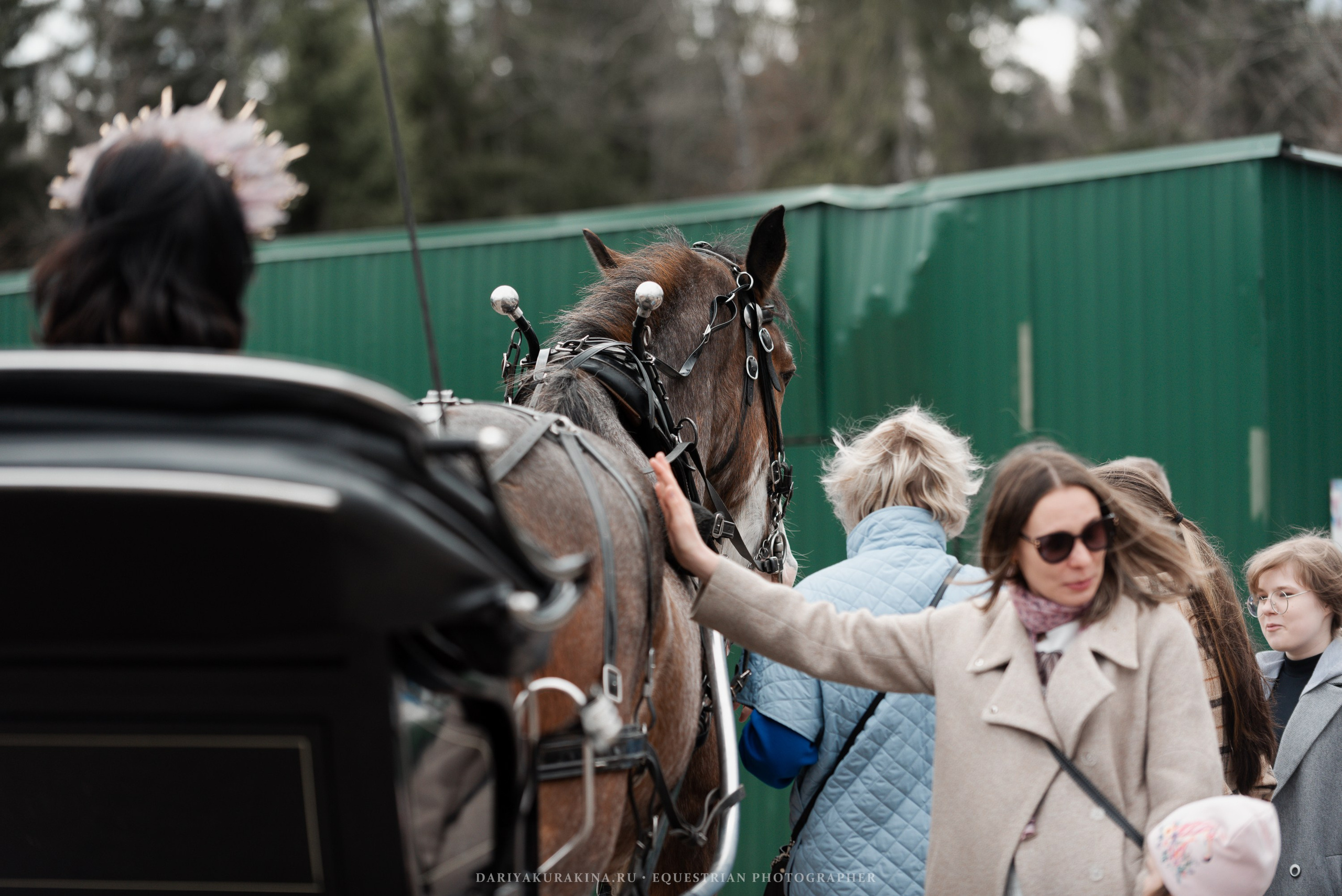 Конное представление «Дыхание Звёзд». Конный фотограф Куракина Дарья • Фотосессии с лошадьми