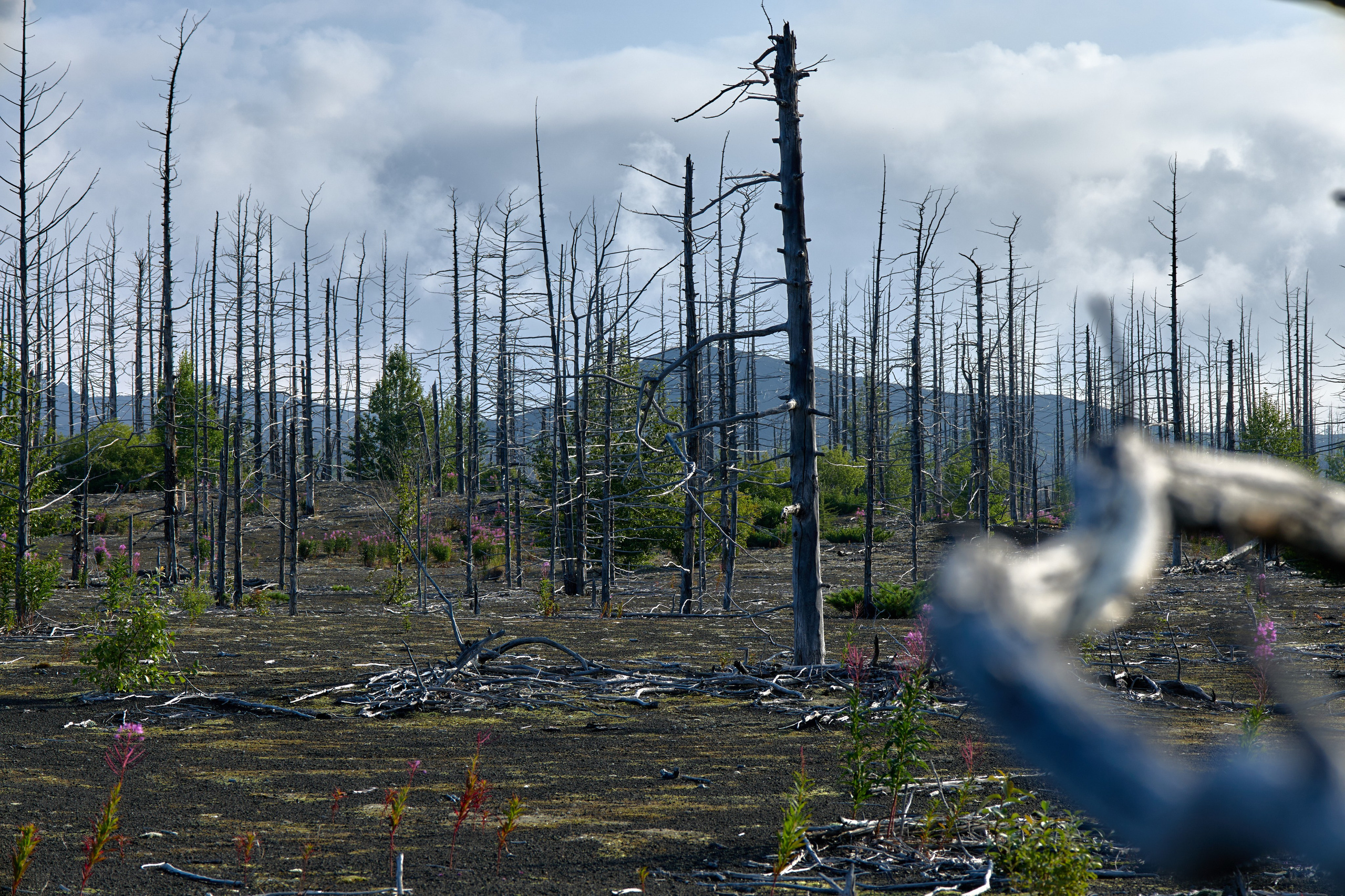 Камчатка. Travel-фотограф Ирина Милинцова