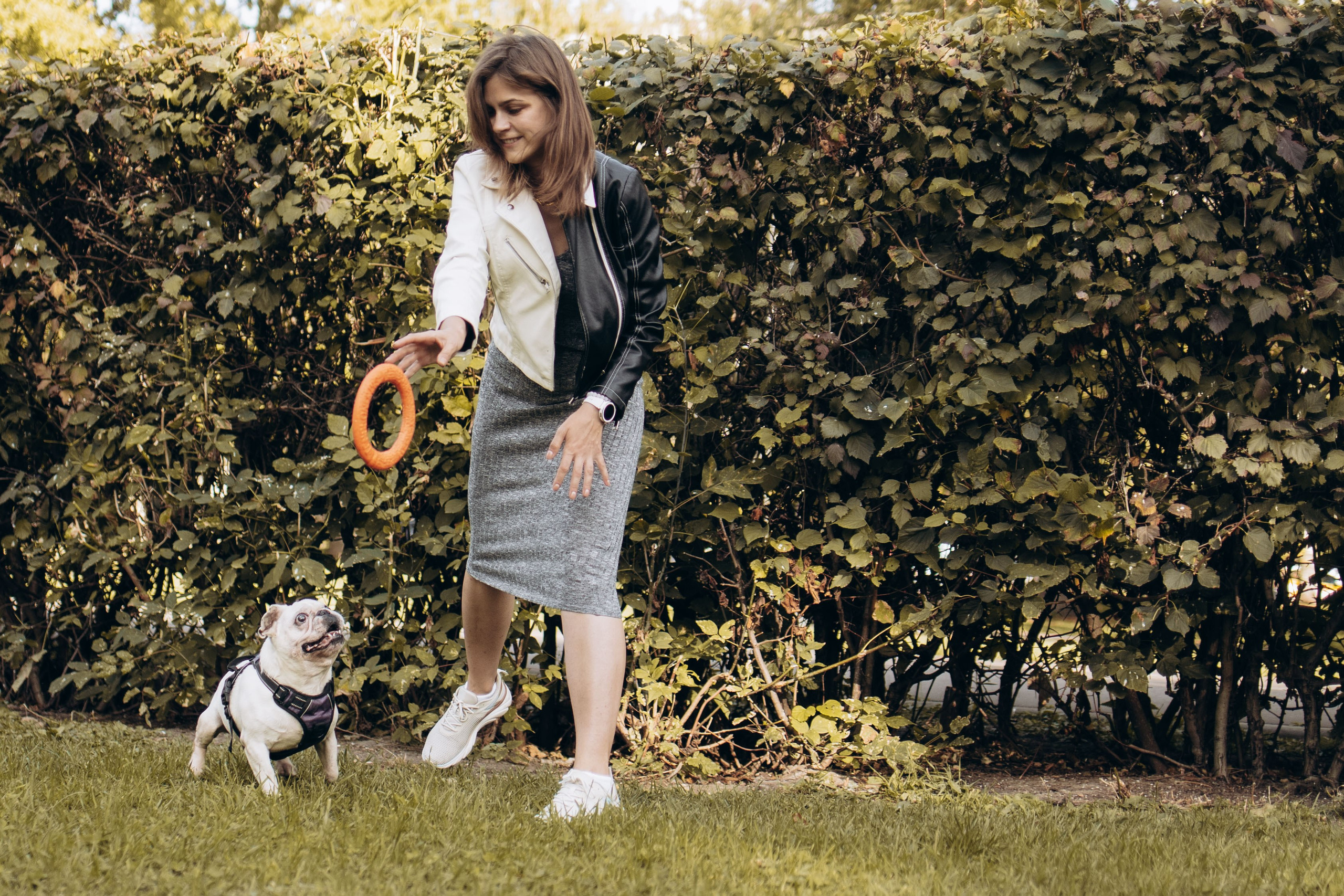 Оля и бульдоги