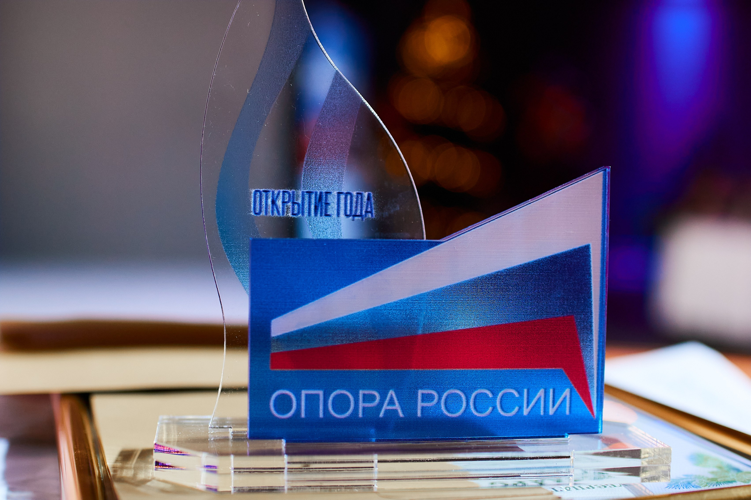 Опора России — Новый год. Виктория Ларина — Портретный профессиональный фотограф в Иркутске