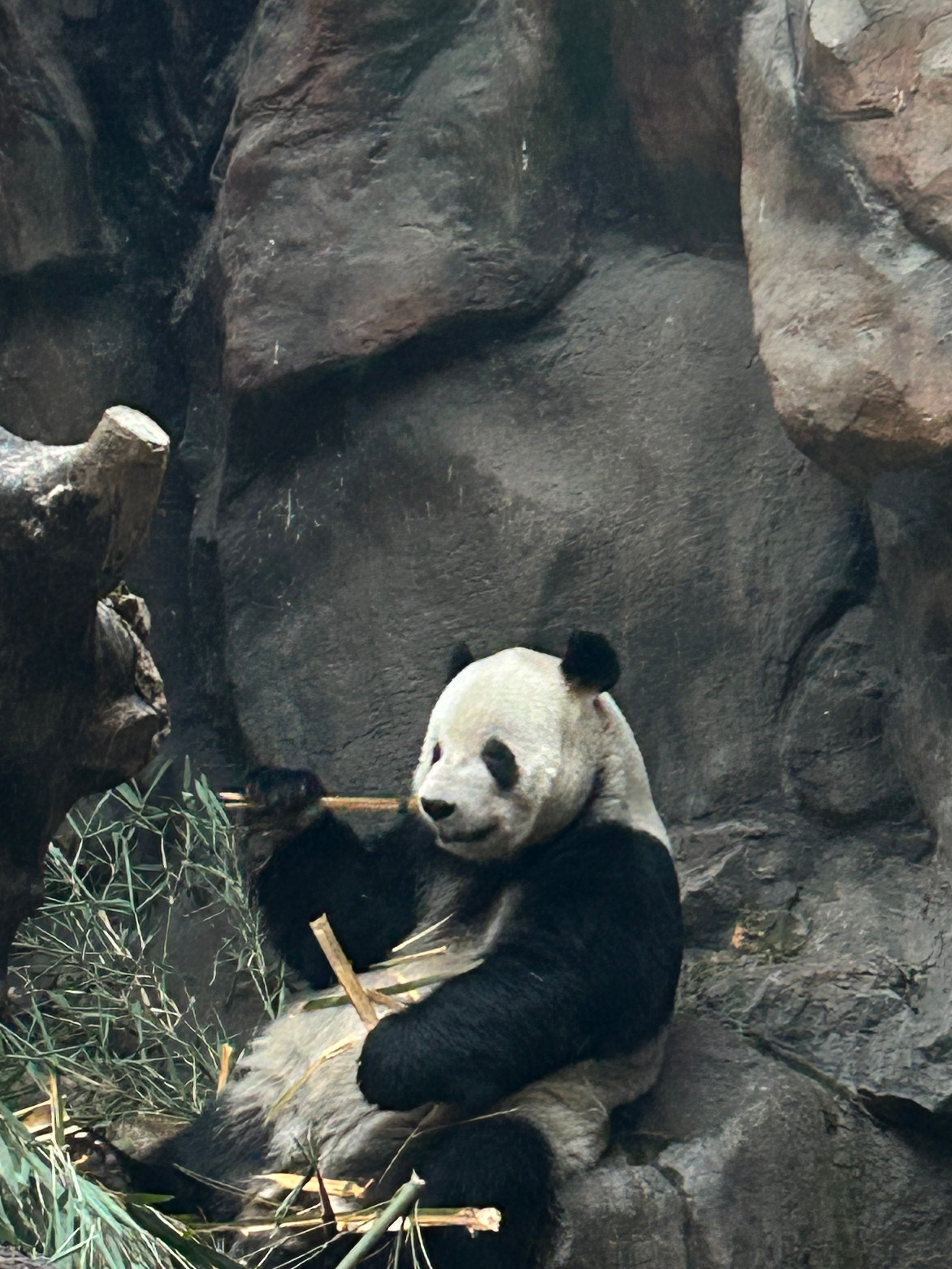 Китай, Пекин