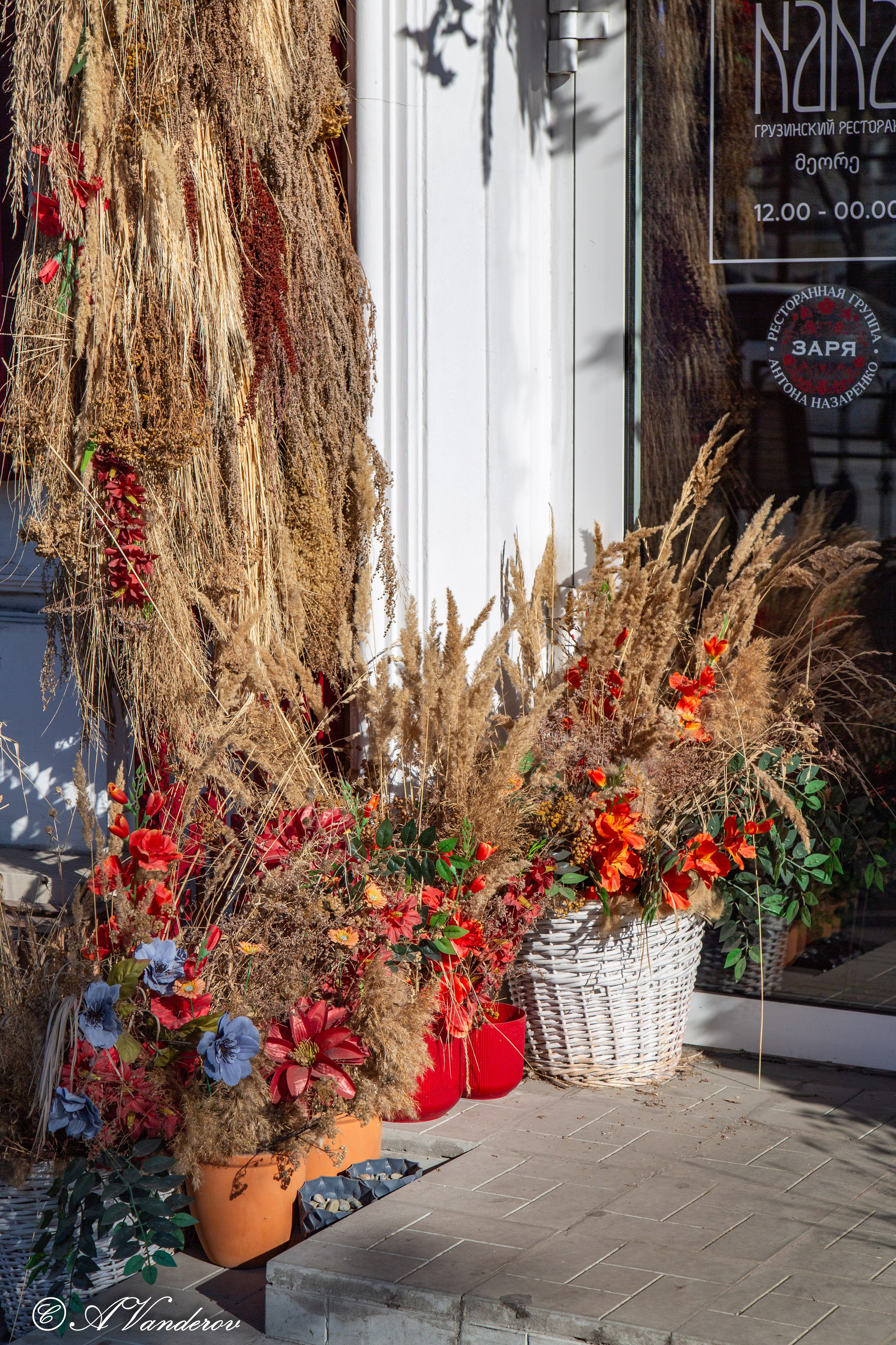 Омск 2024. Фотограф Омск | Александр Вандеров