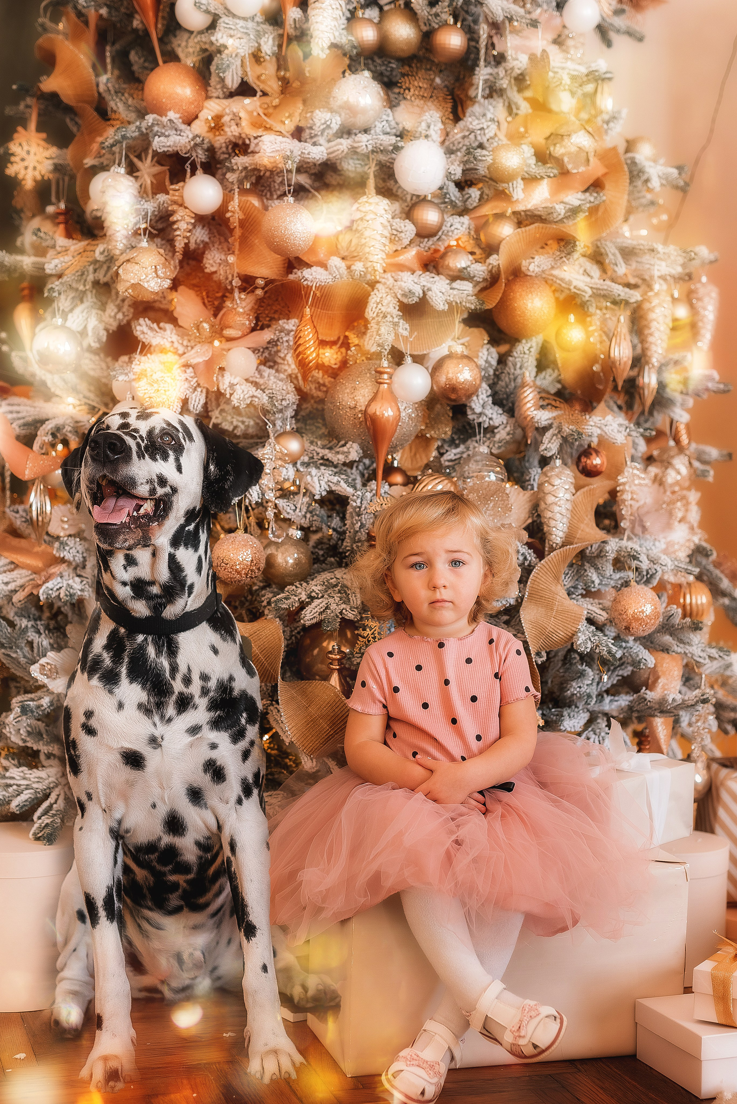 Фотосессия с далматинцем. Семейный, детский фотограф в Воронеже Анна Никитина