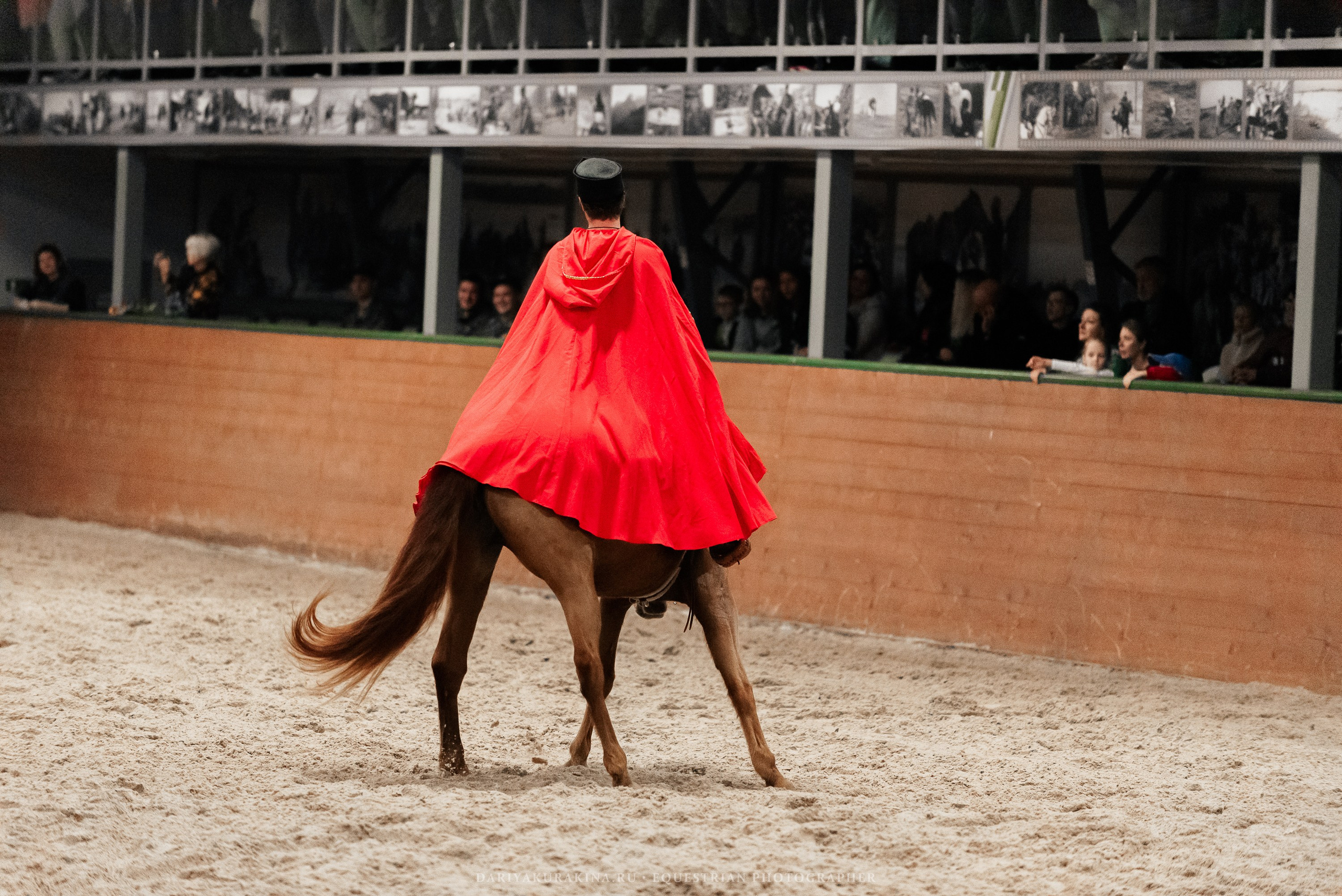 Конное представление «Дыхание Звёзд». Конный фотограф Куракина Дарья • Фотосессии с лошадьми