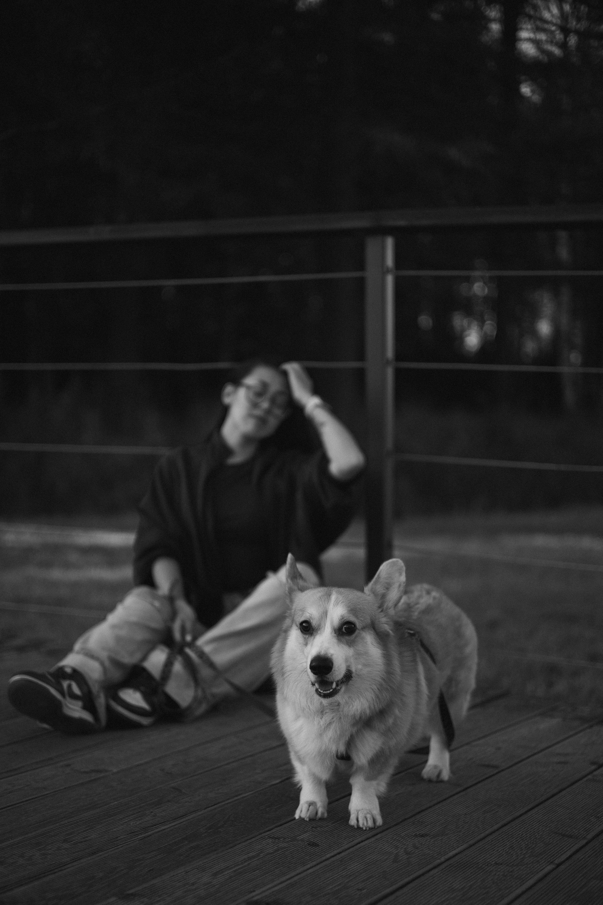 Мари & Йосик. Фотограф — анималист •love-story•|Санкт-Петербург