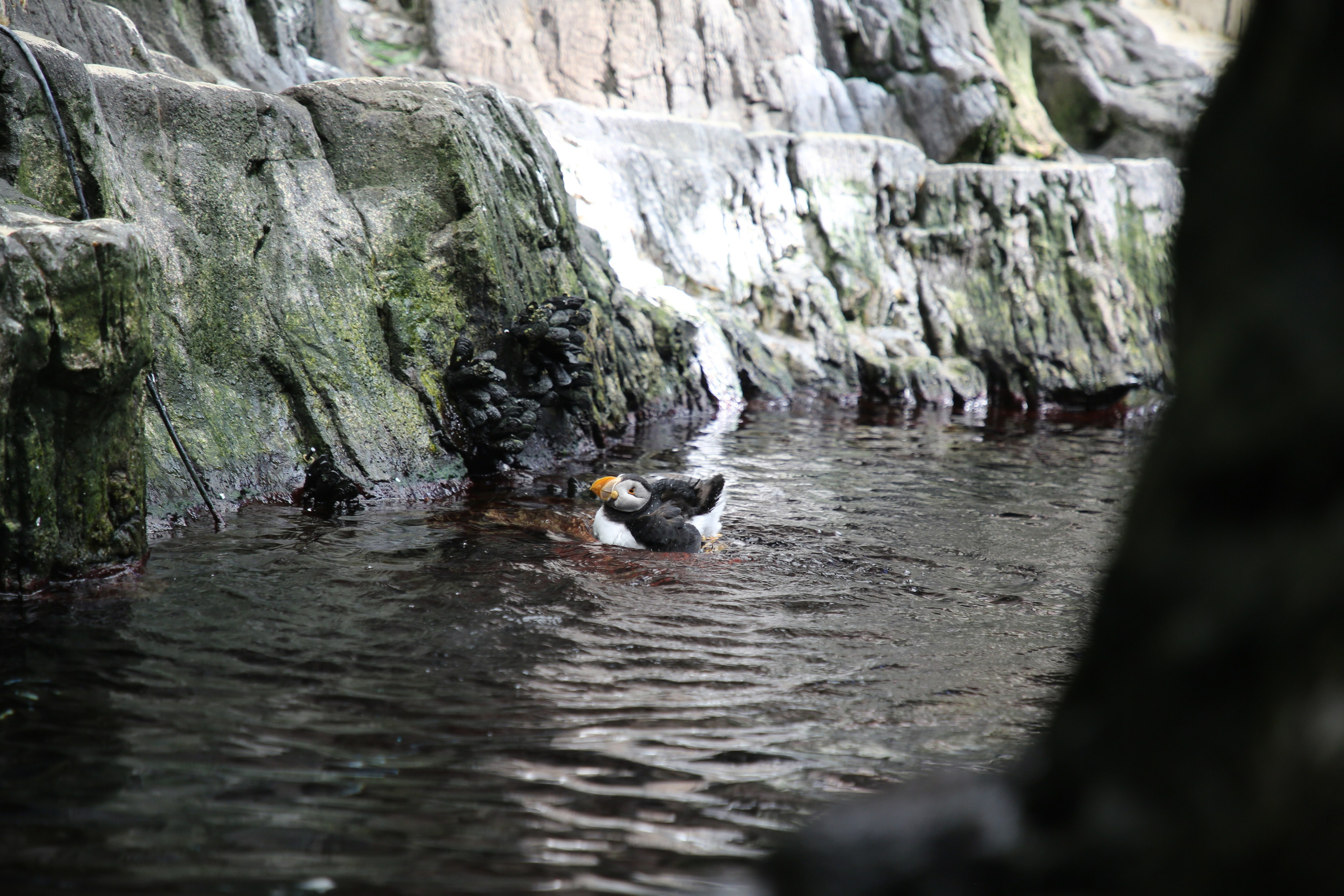 Lisbon, Portugal. Andrey Filippov Photographer