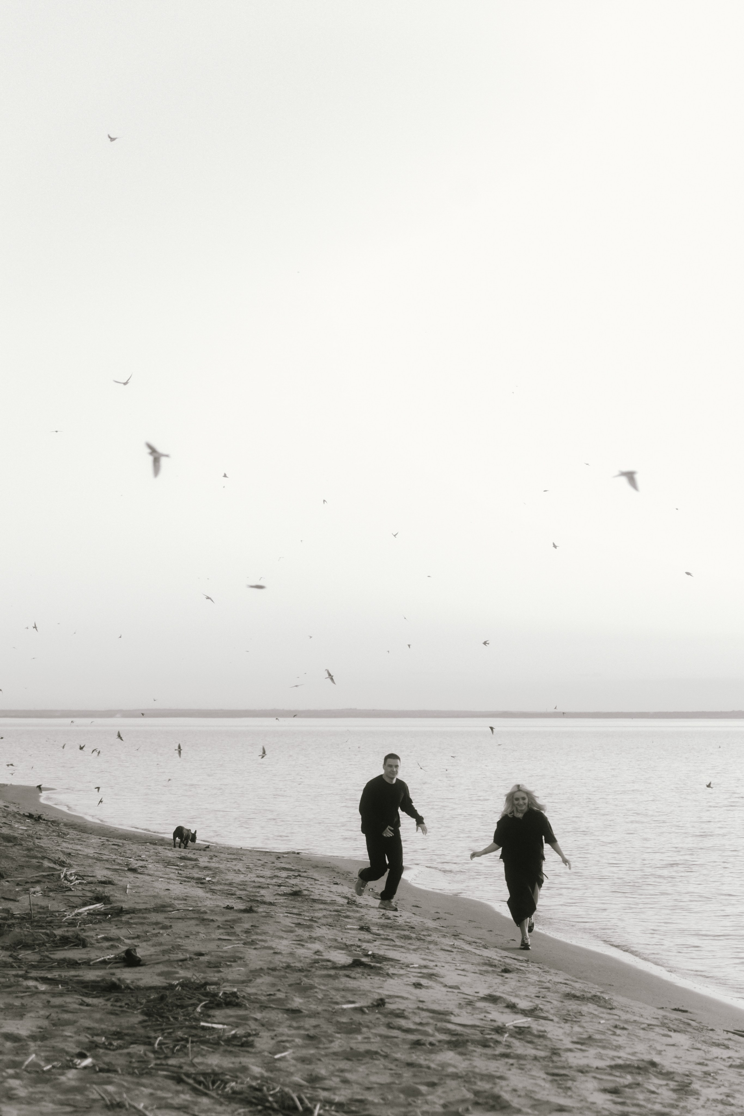 Ласточки. Свадебный и семейный фотограф Юлия Сафронова