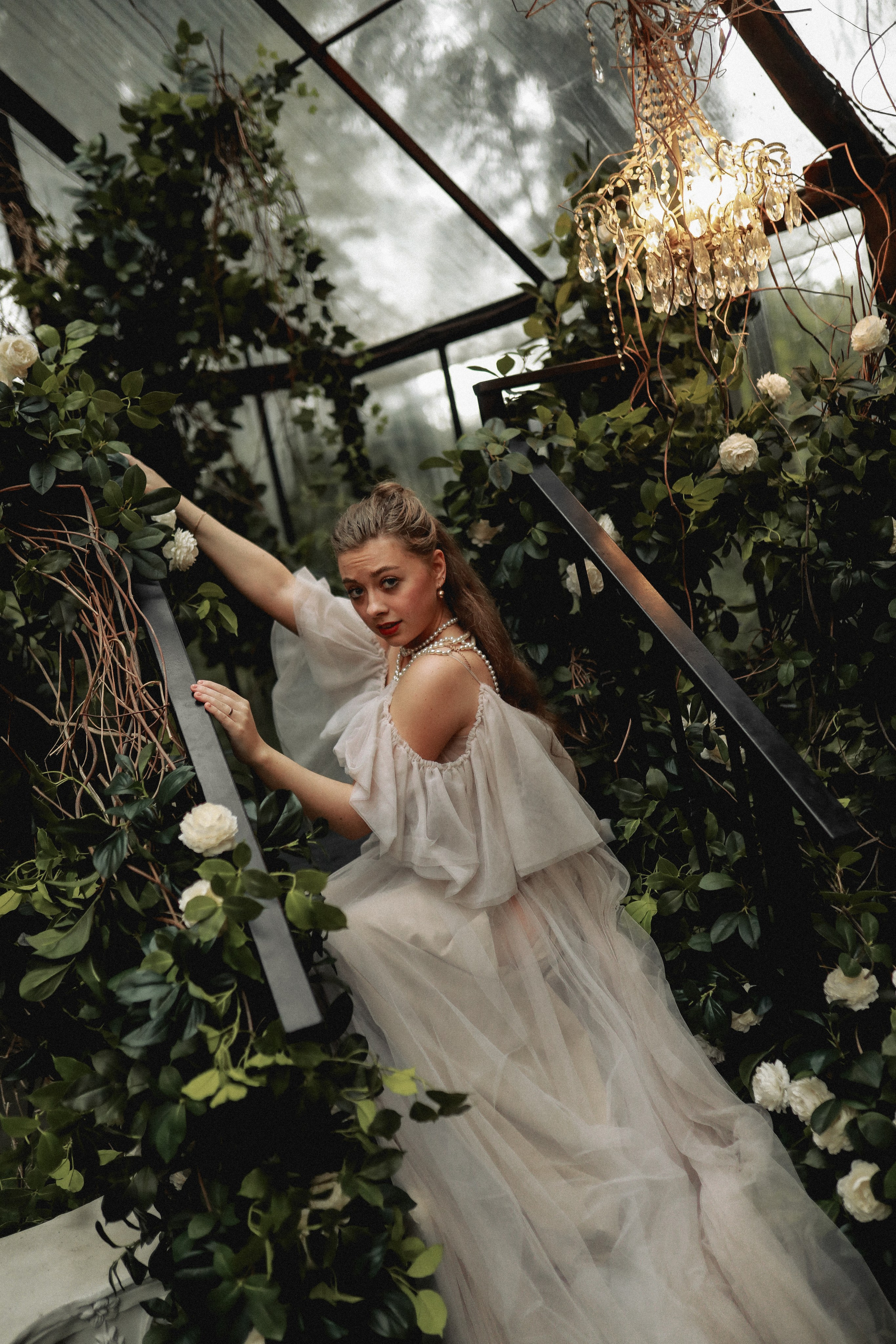 Зачарованный лес