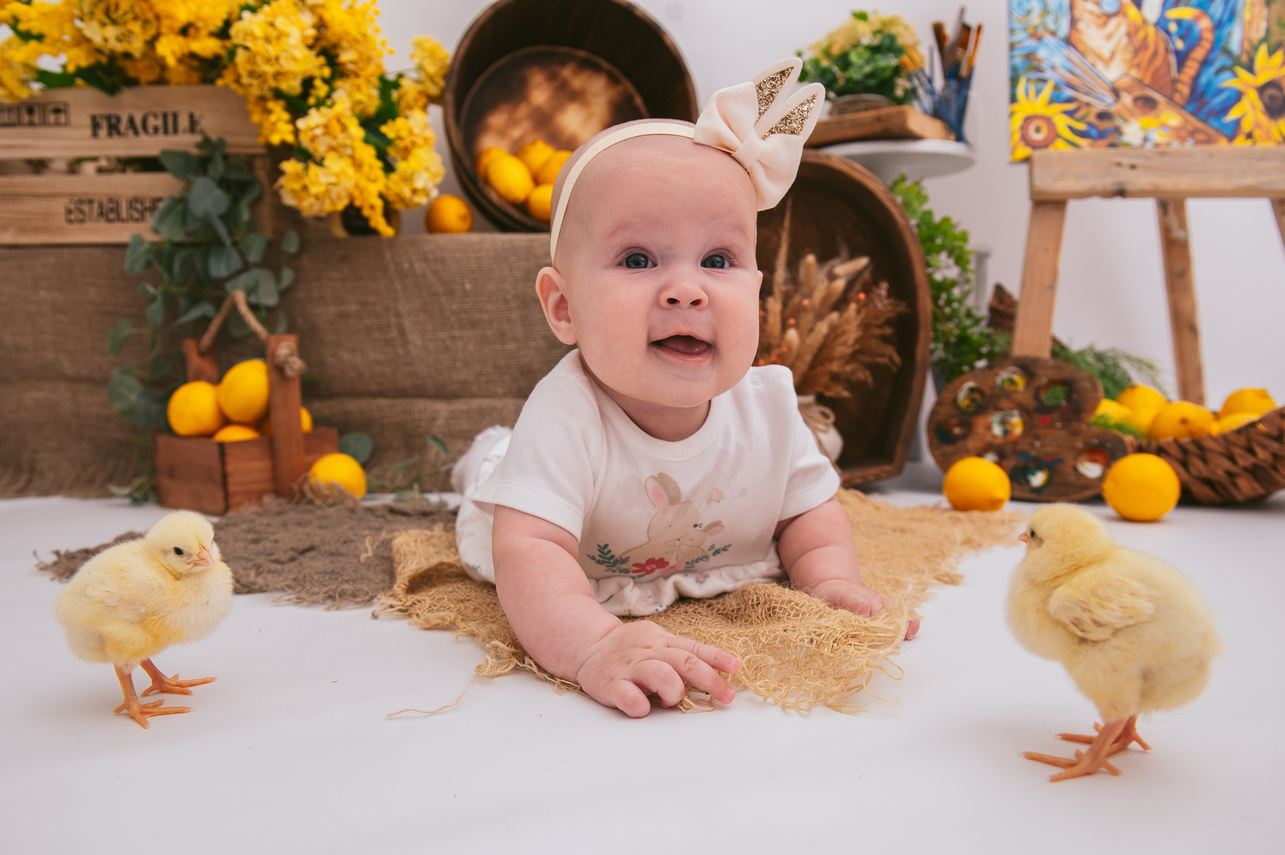 Цыплята. Детский фотограф Магадан