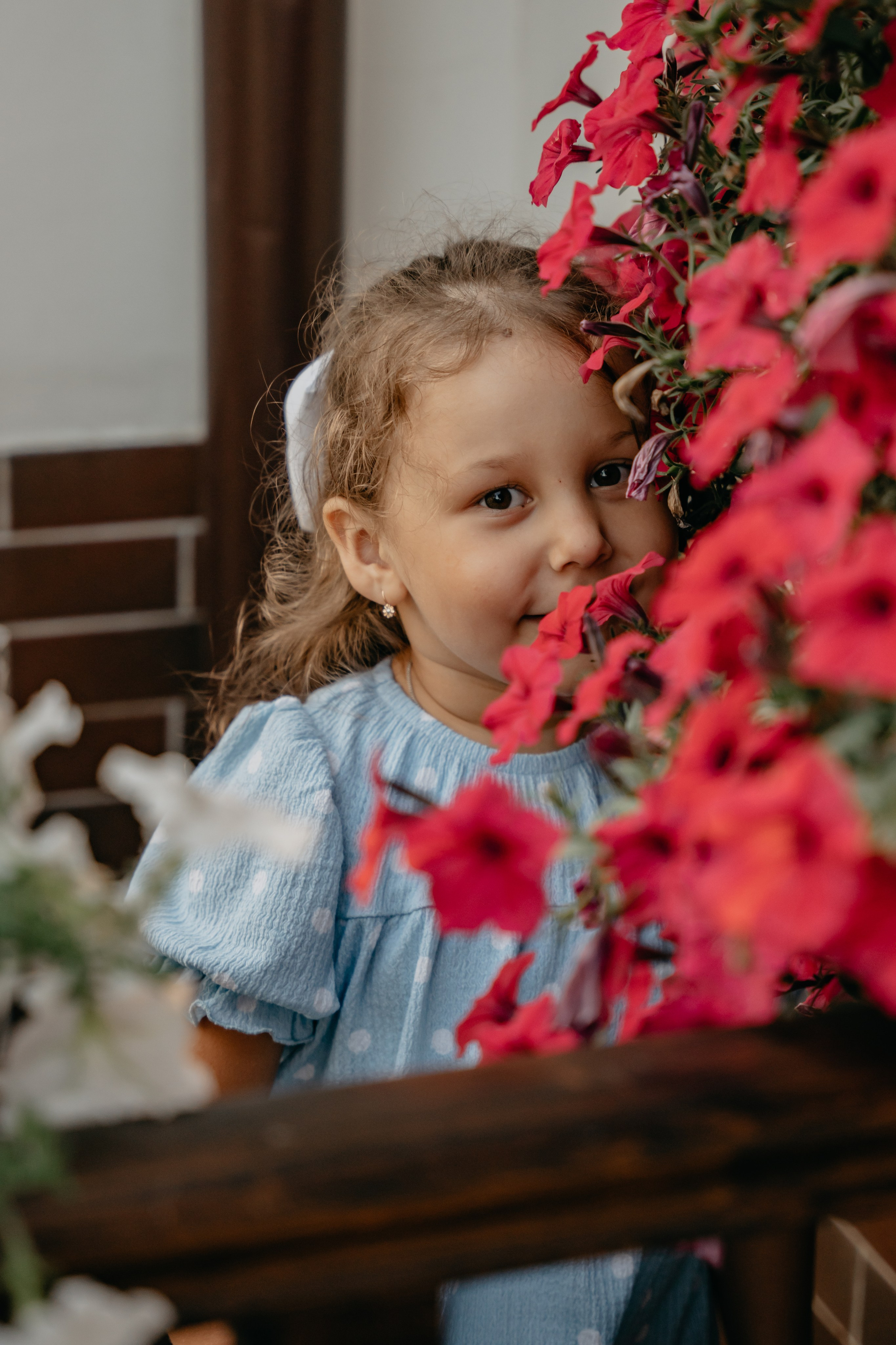 Кира и флоксы