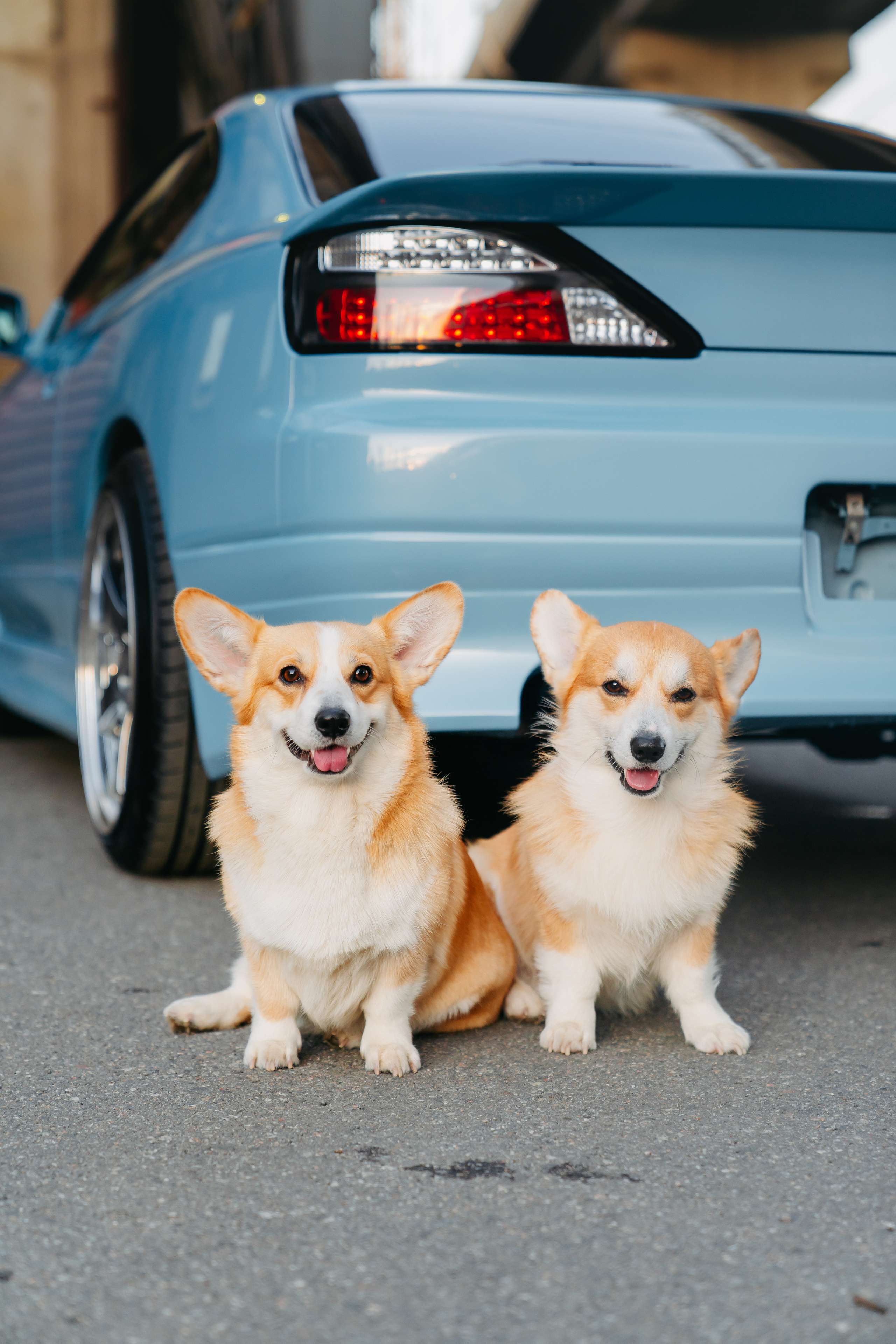 Silvia S15. Фотограф в Санкт-Петербурге Мария Александрова