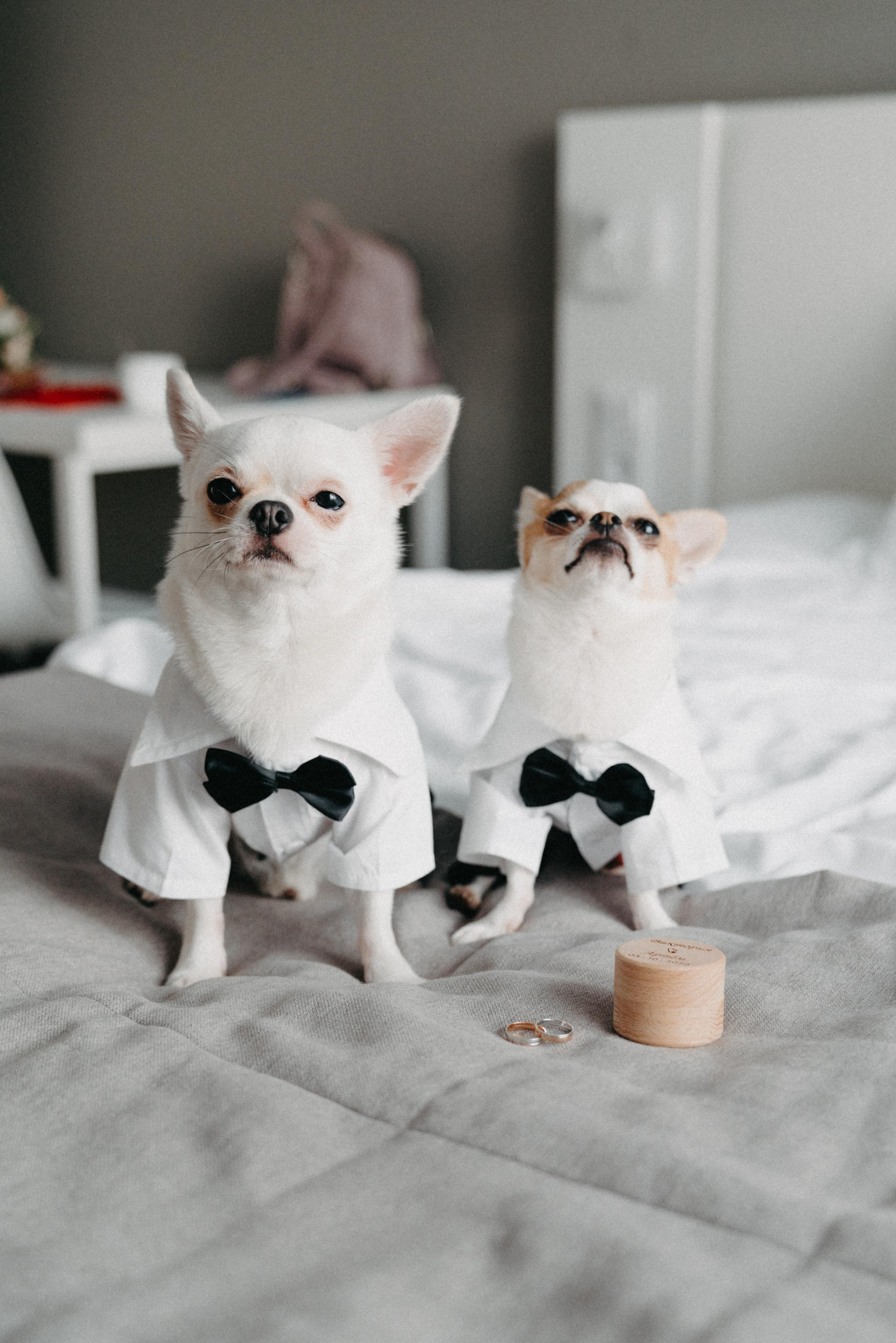 Виктория и Артём. Фотограф в Санкт-Петербурге Мария Александрова