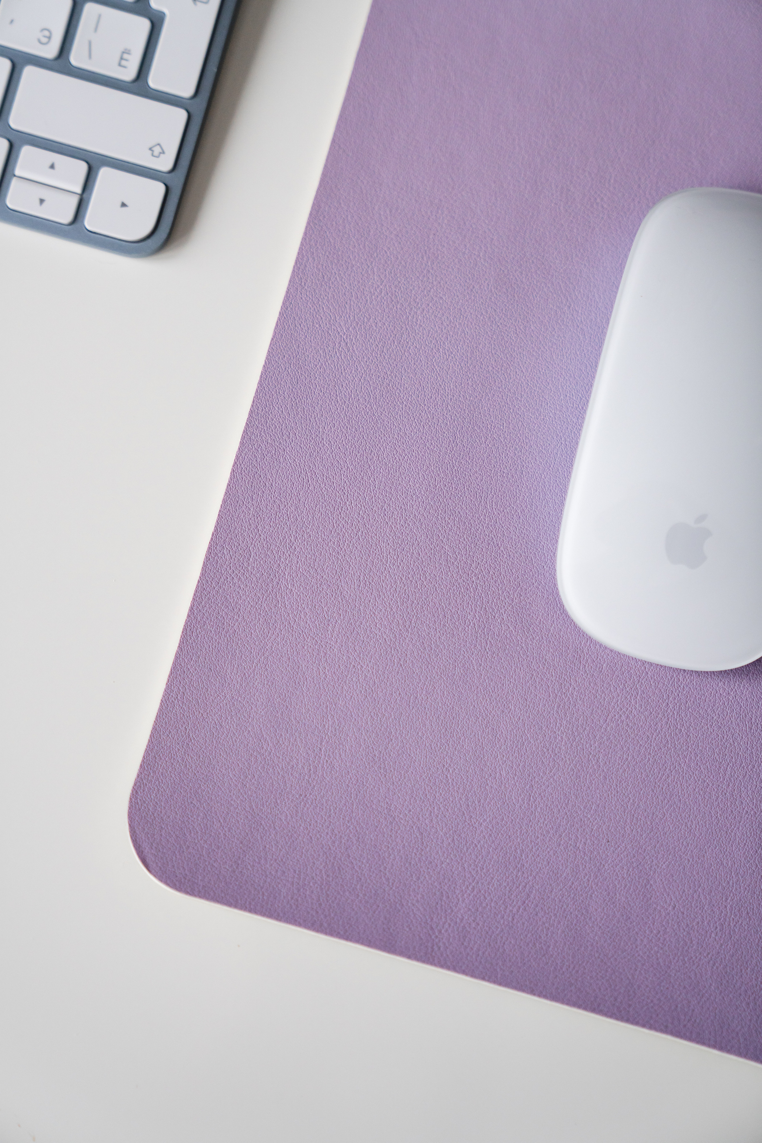 WB/Ozon. Фотограф в Санкт-Петербурге Мария Александрова