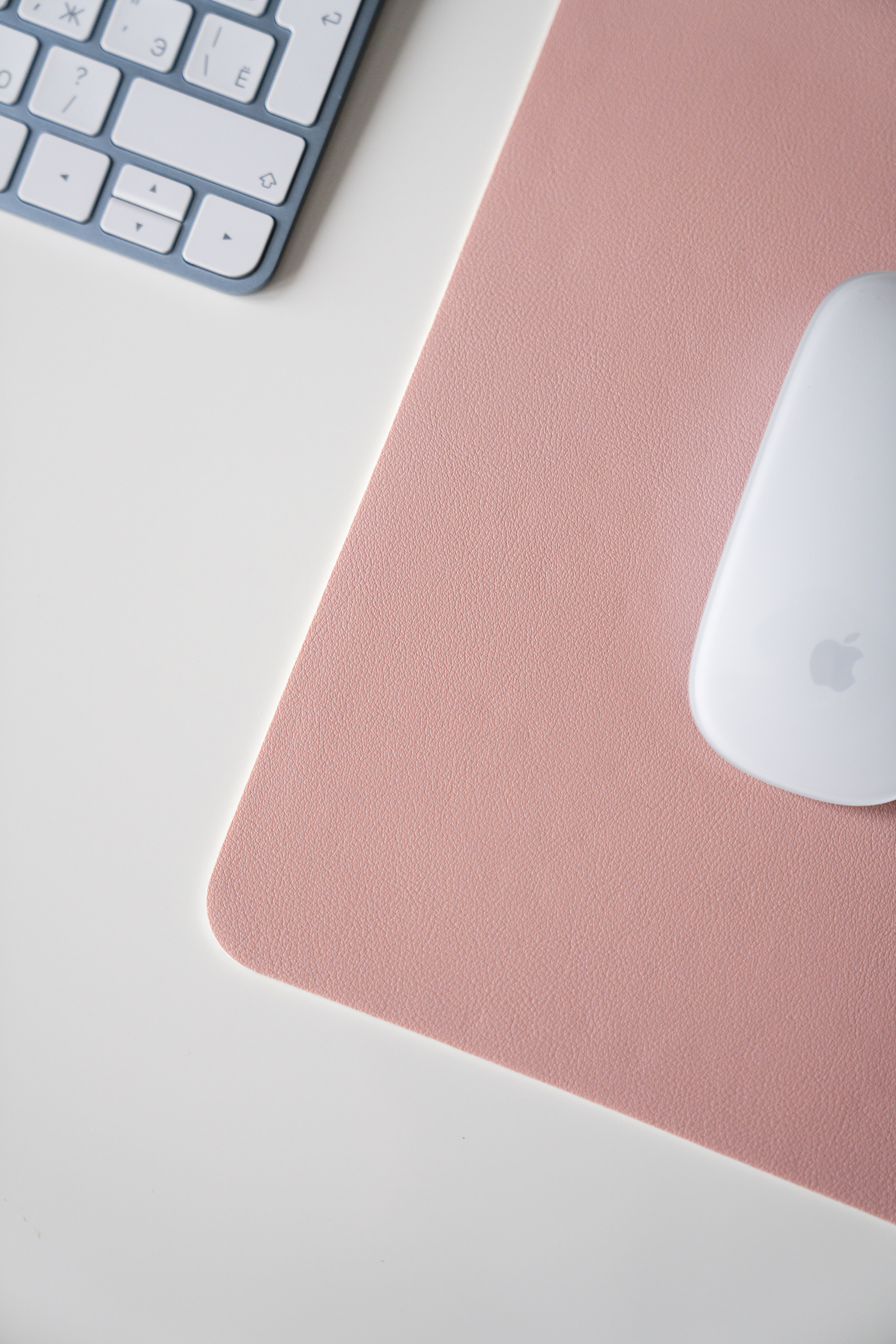 WB/Ozon. Фотограф в Санкт-Петербурге Мария Александрова