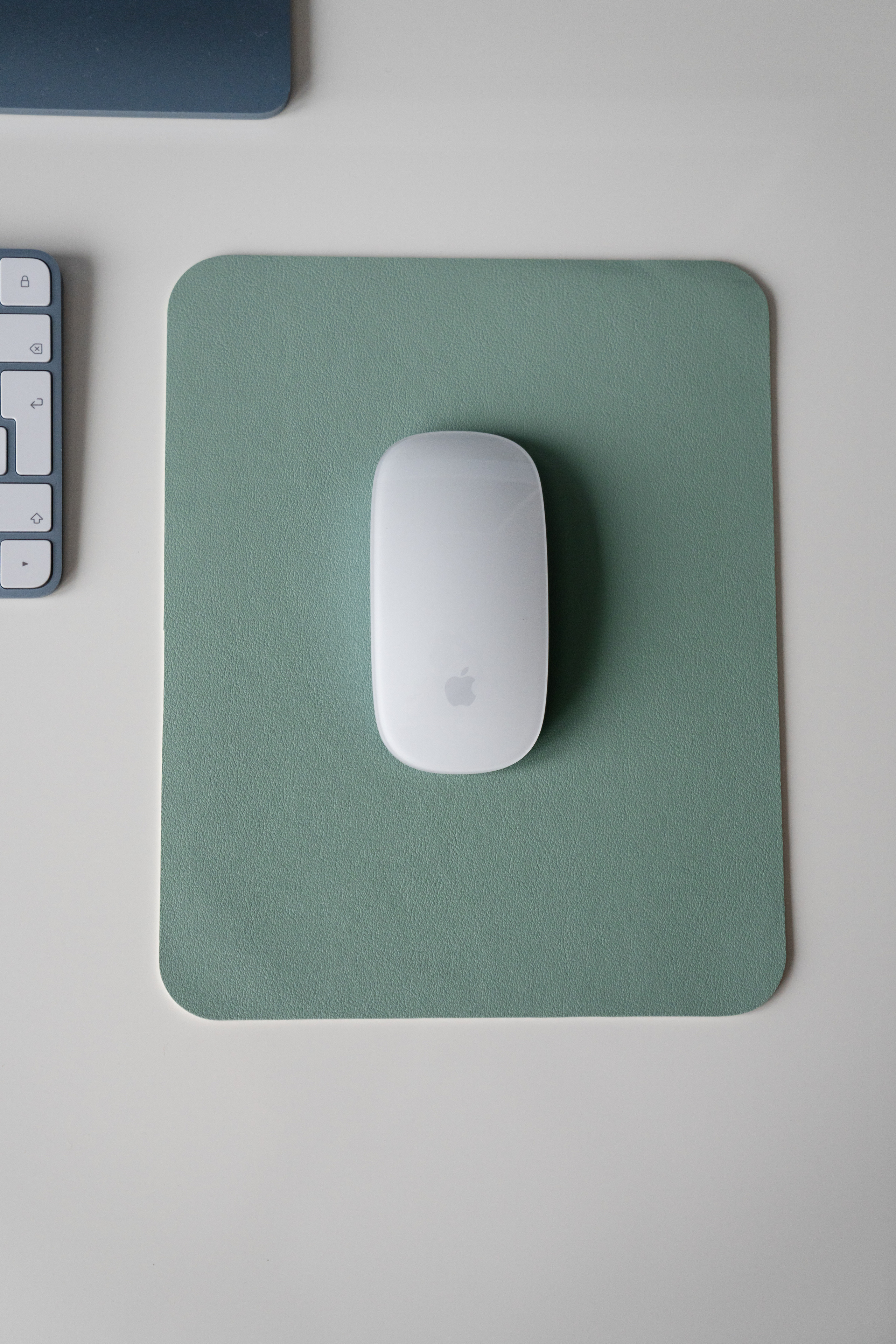 WB/Ozon. Фотограф в Санкт-Петербурге Мария Александрова