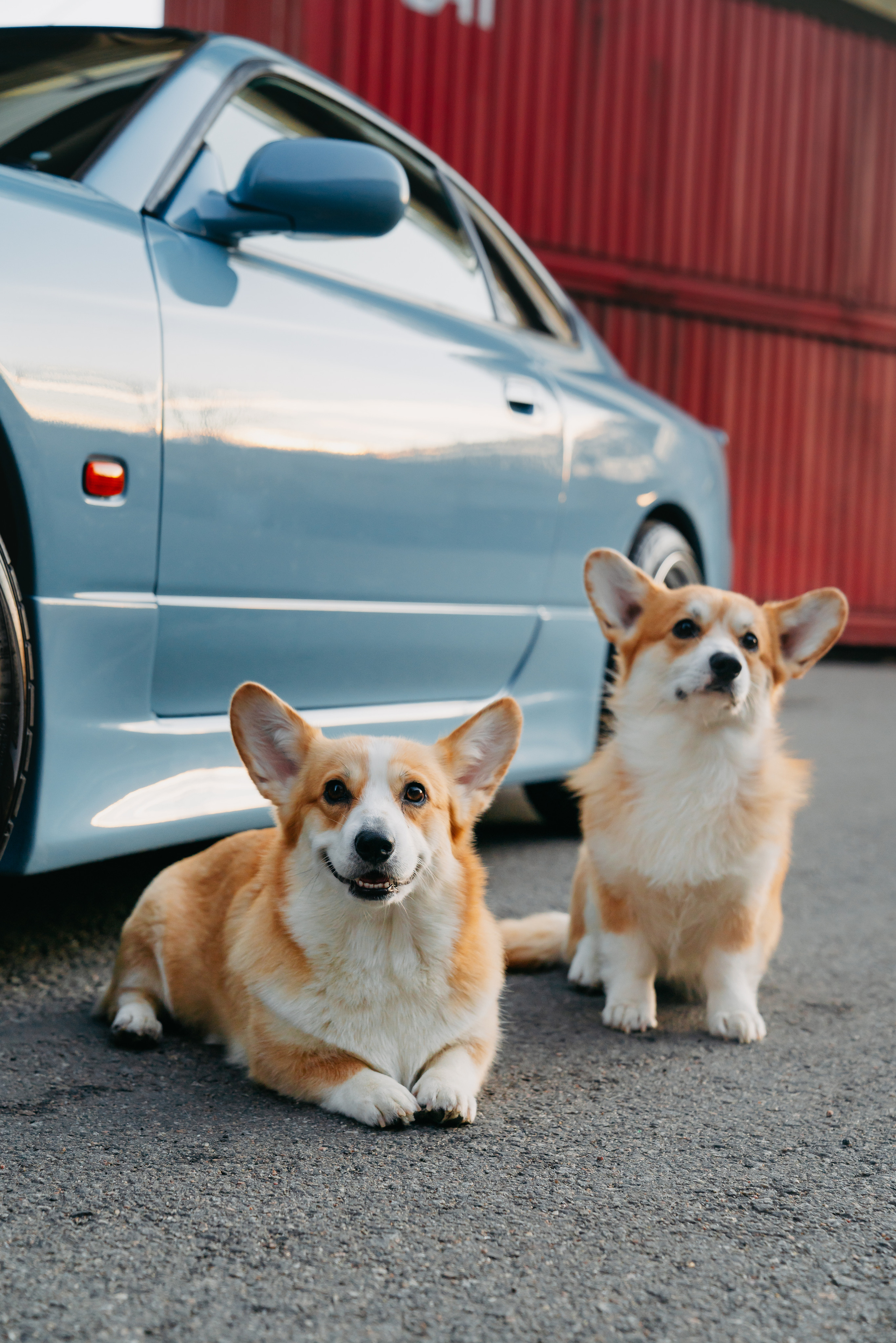 Silvia S15. Фотограф в Санкт-Петербурге Мария Александрова