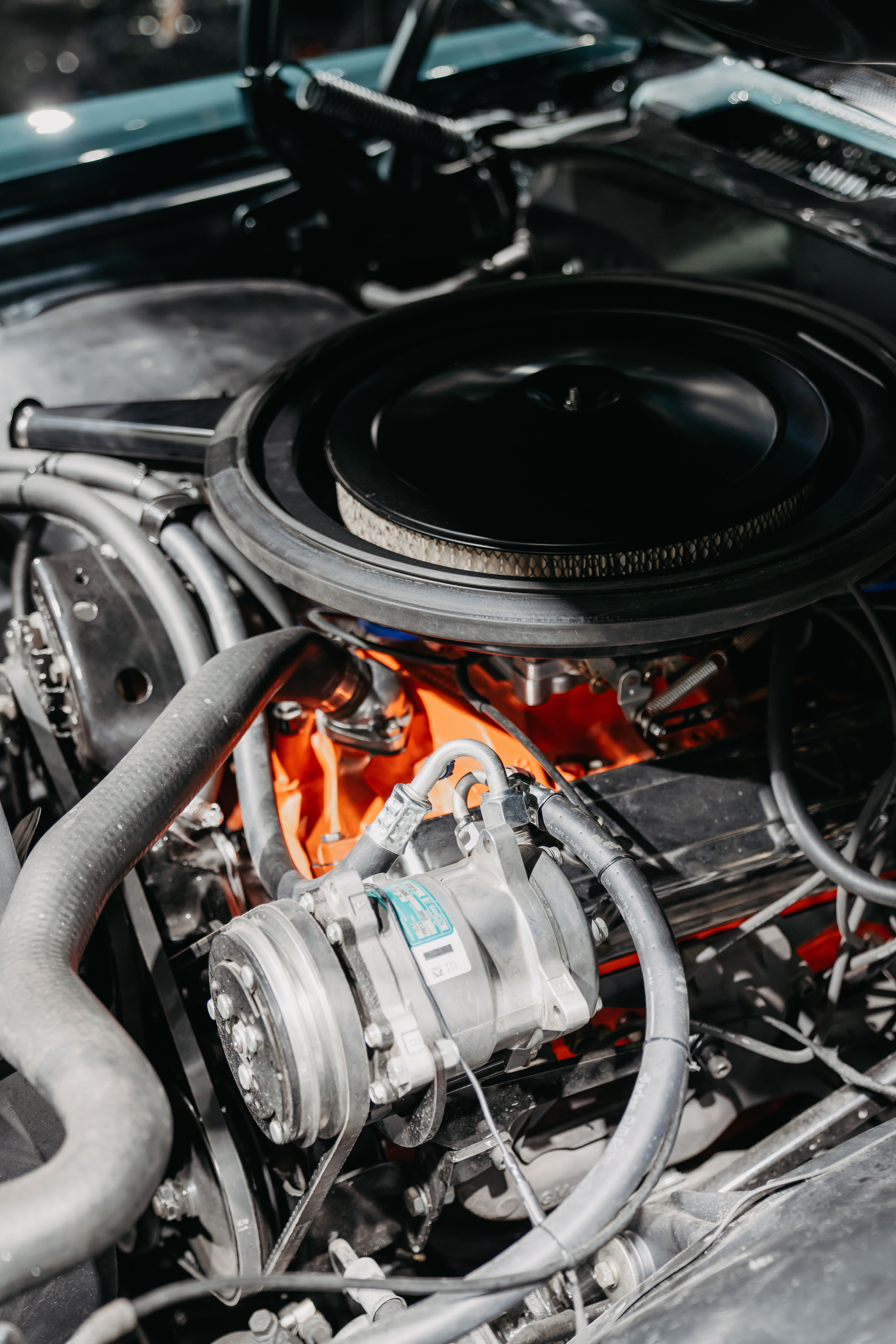 Щербаков Алексей / Для ST. Фотограф в Санкт-Петербурге Мария Александрова