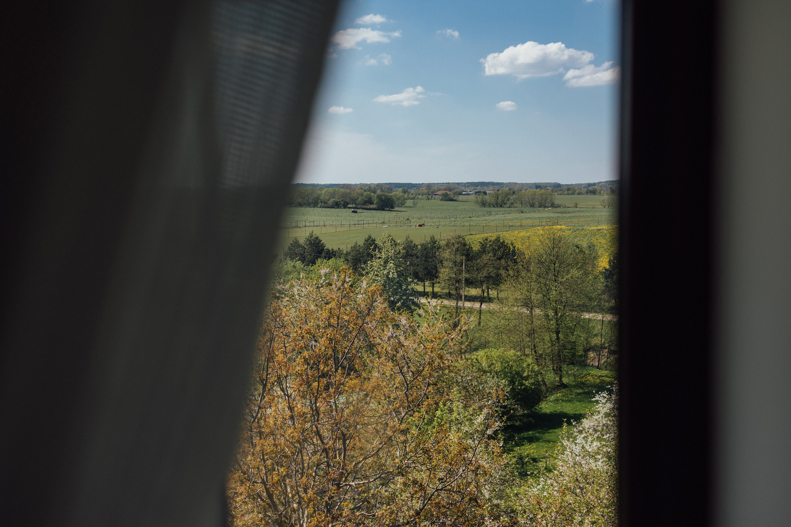 Свадьба Вера и Сергей. Главная