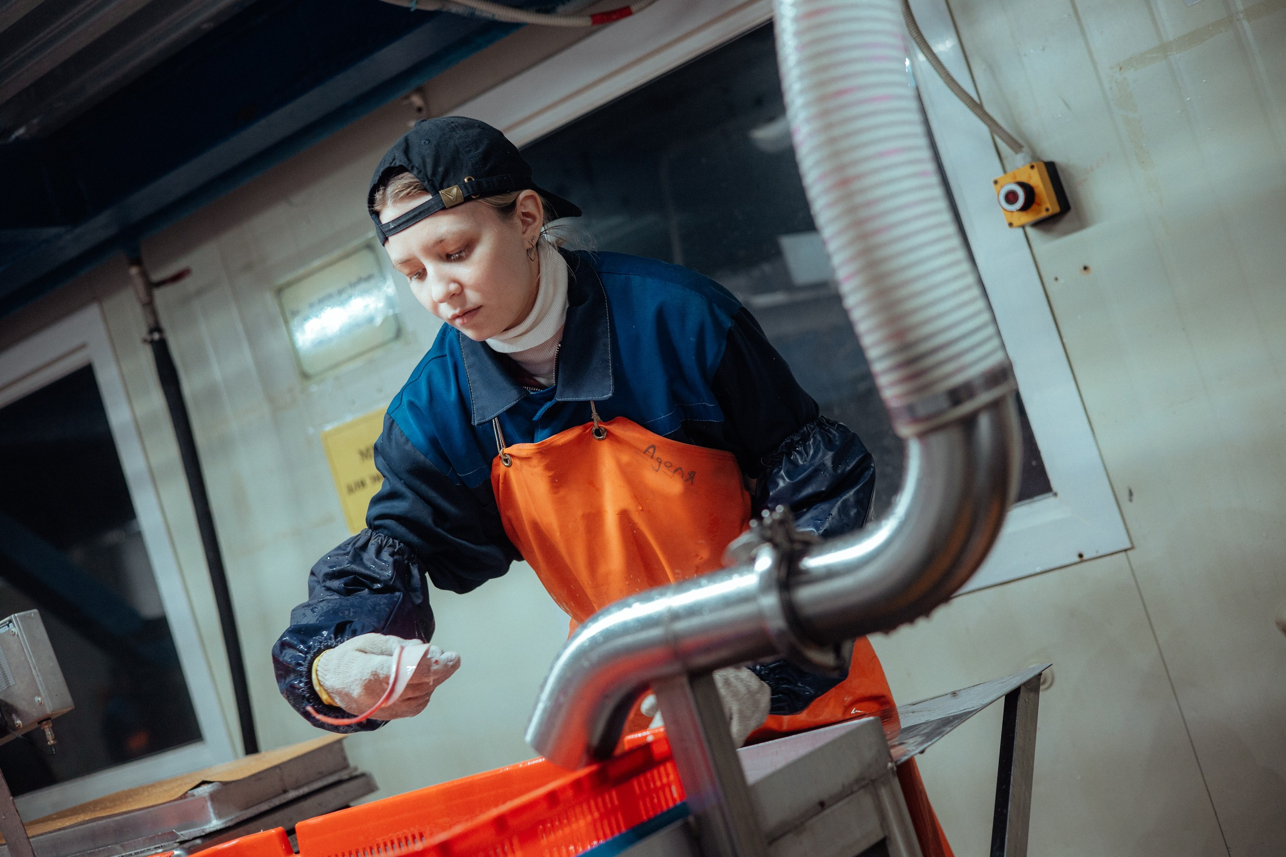 Ооо «лойд-фиш» | камчатка-2025