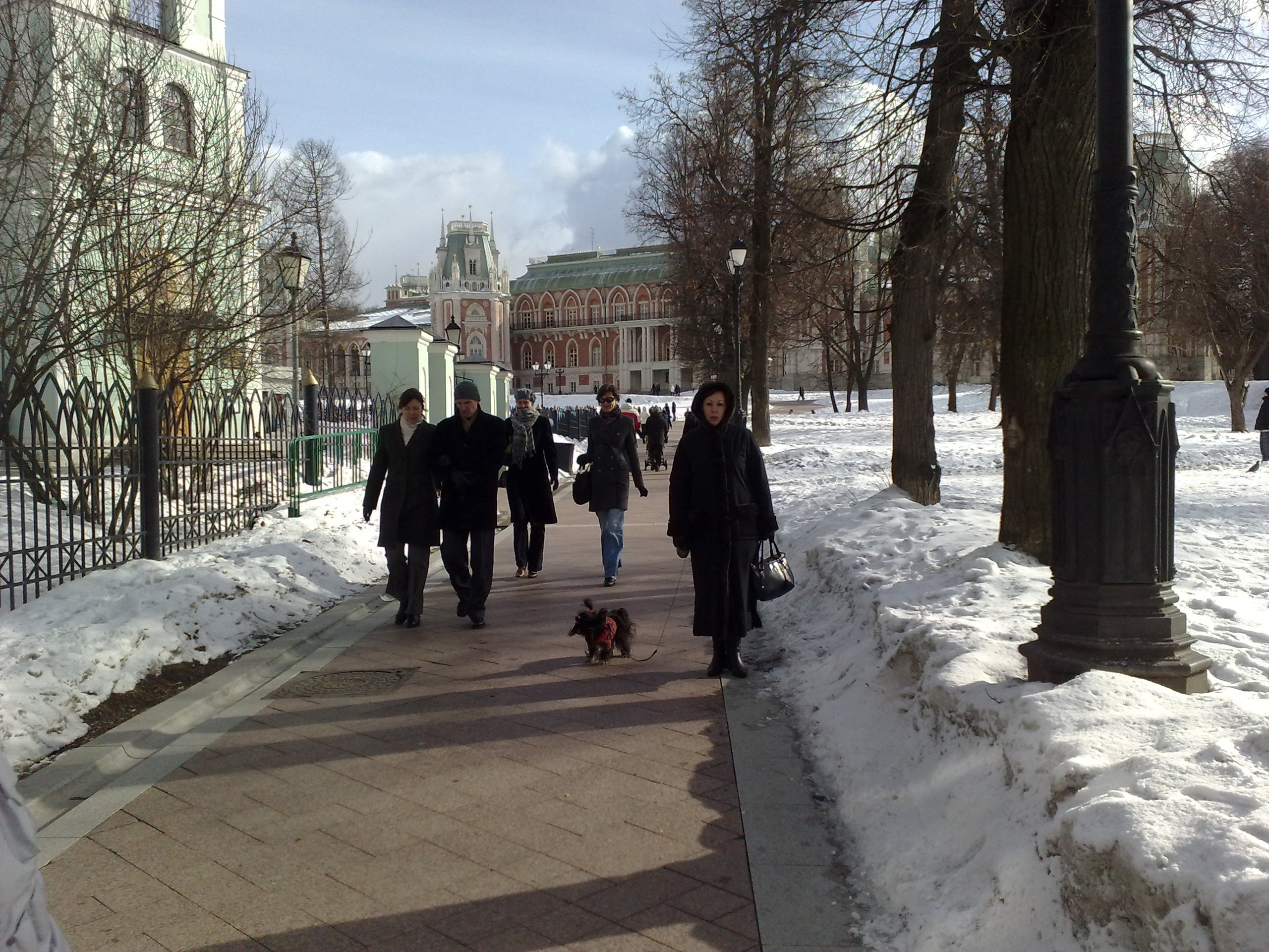 Царицино музей-усадьба. Питомник китайских хохлатых собак Poale Ell: купить щенка в питомнике