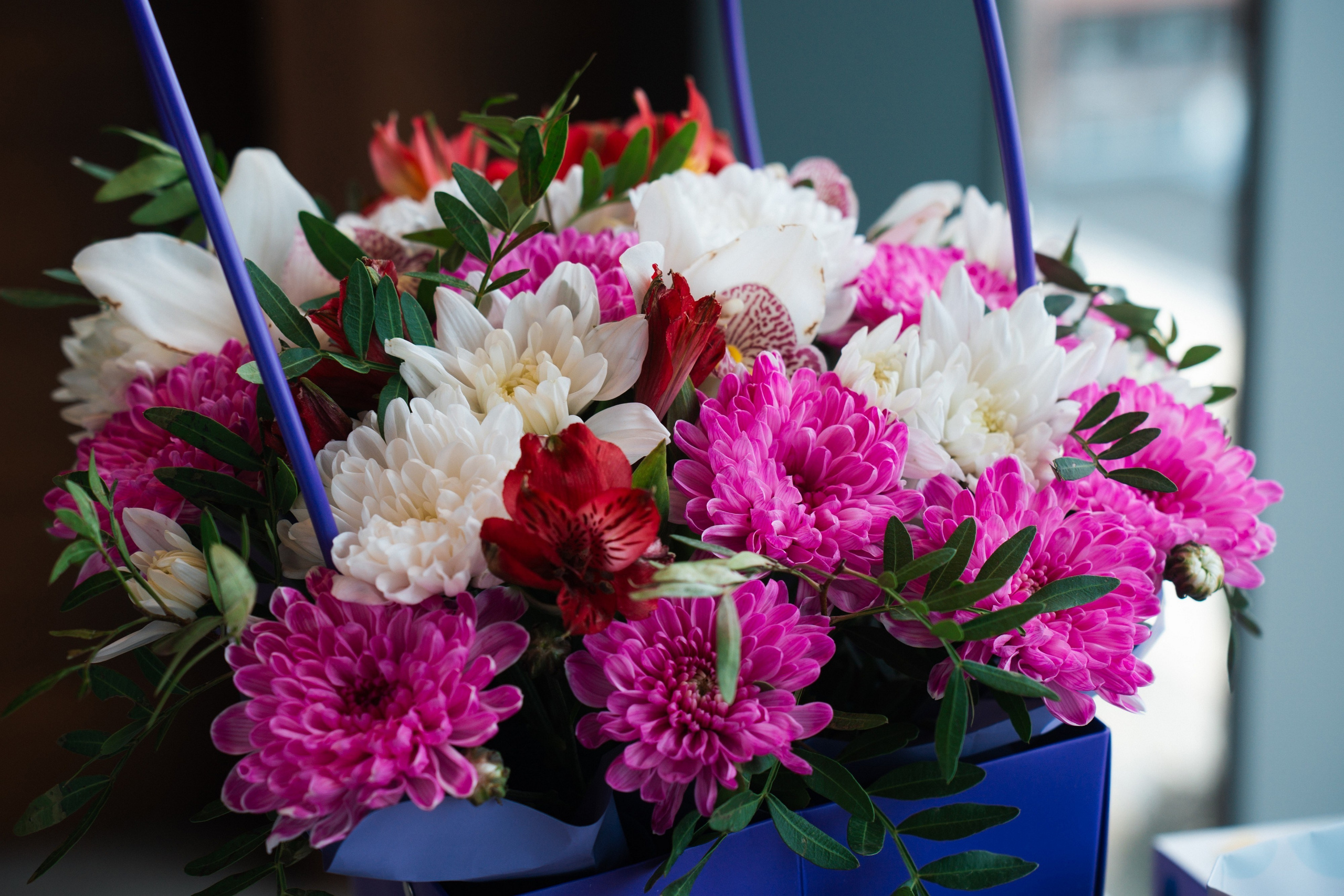 ЮФМ V. Фотограф в Воронеже Ольга Космодемьянская