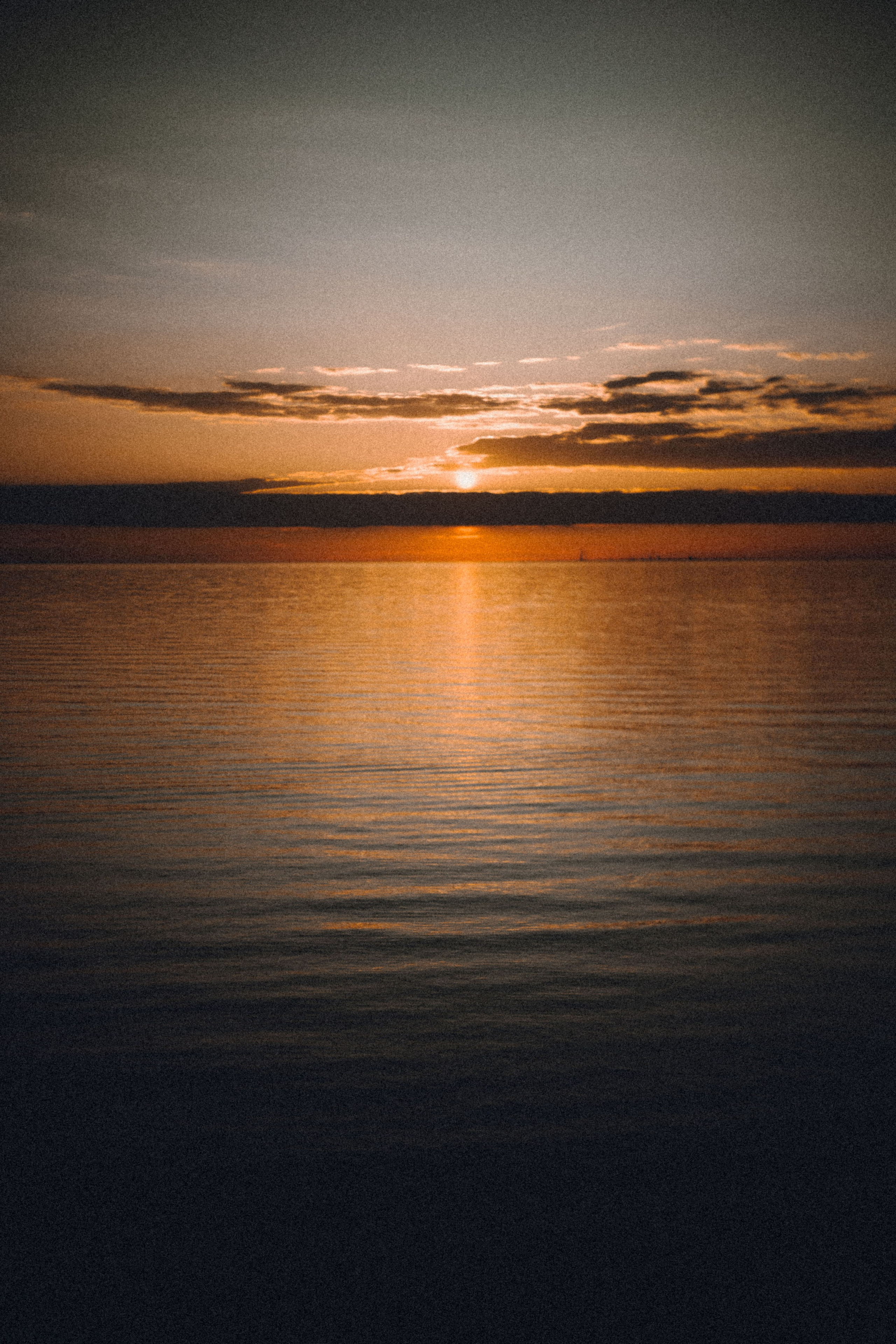 Прогулка с Натали. Фотограф в Санкт-Петербурге Катрин Парадиз