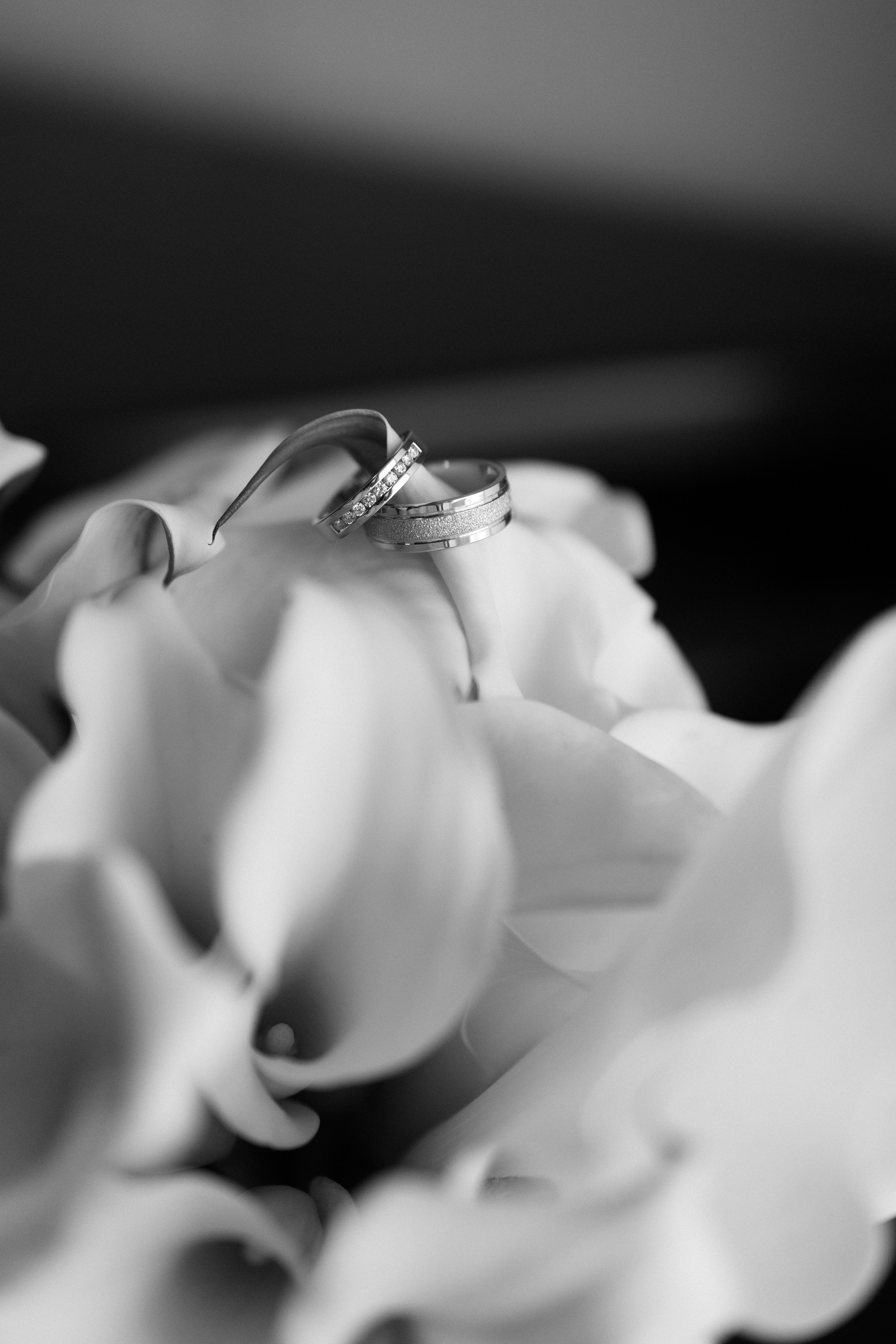 Даша & Максим. Фотограф и преподаватель по фотографии в Воронеже Олеся Микерова