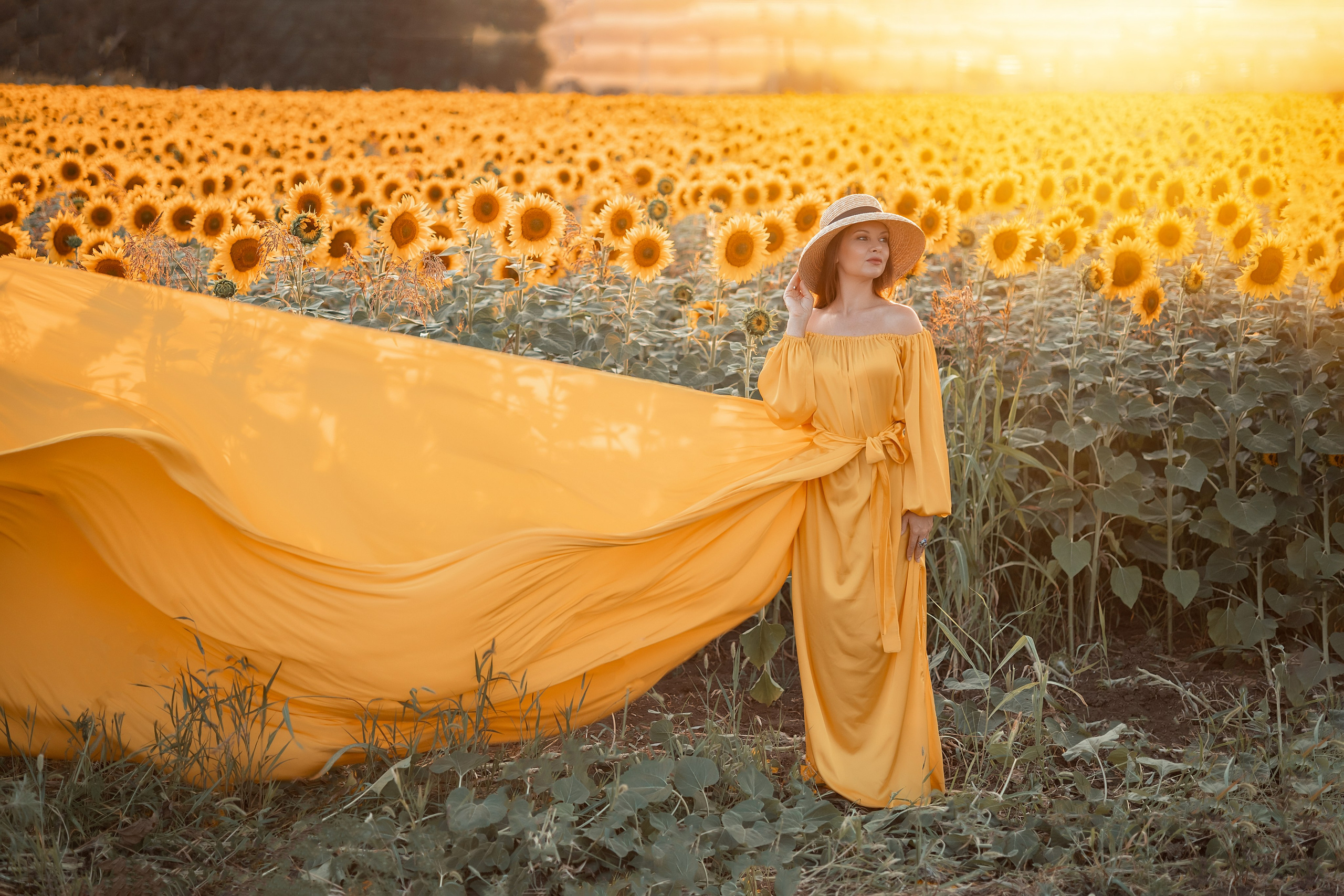 Солнечные подсолнухи. Художественный фотограф Анапа Александра Долбикова