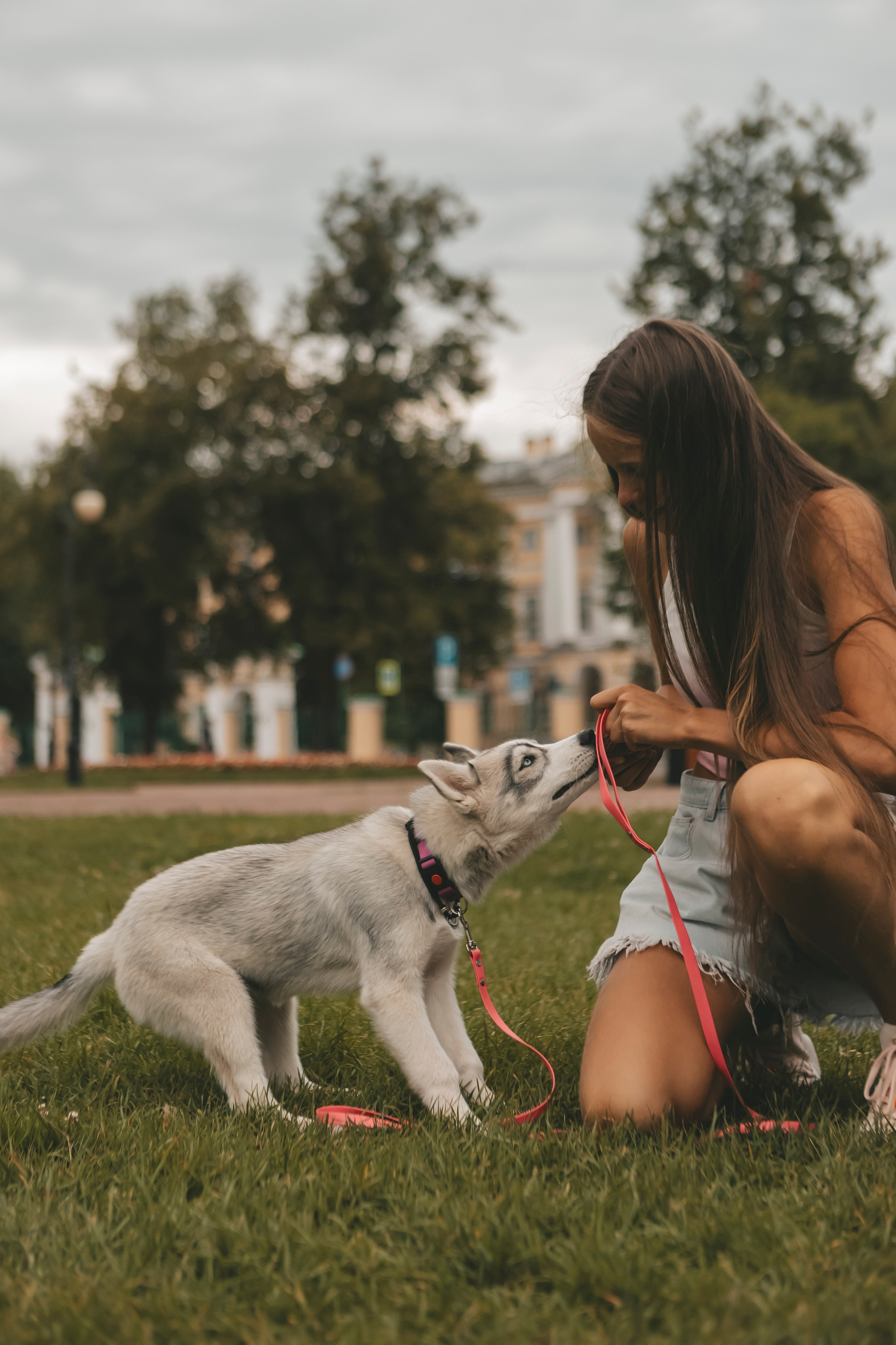 Милана и Белка. Фотограф-анималист в Санкт-Петербурге Алина Яхонт
