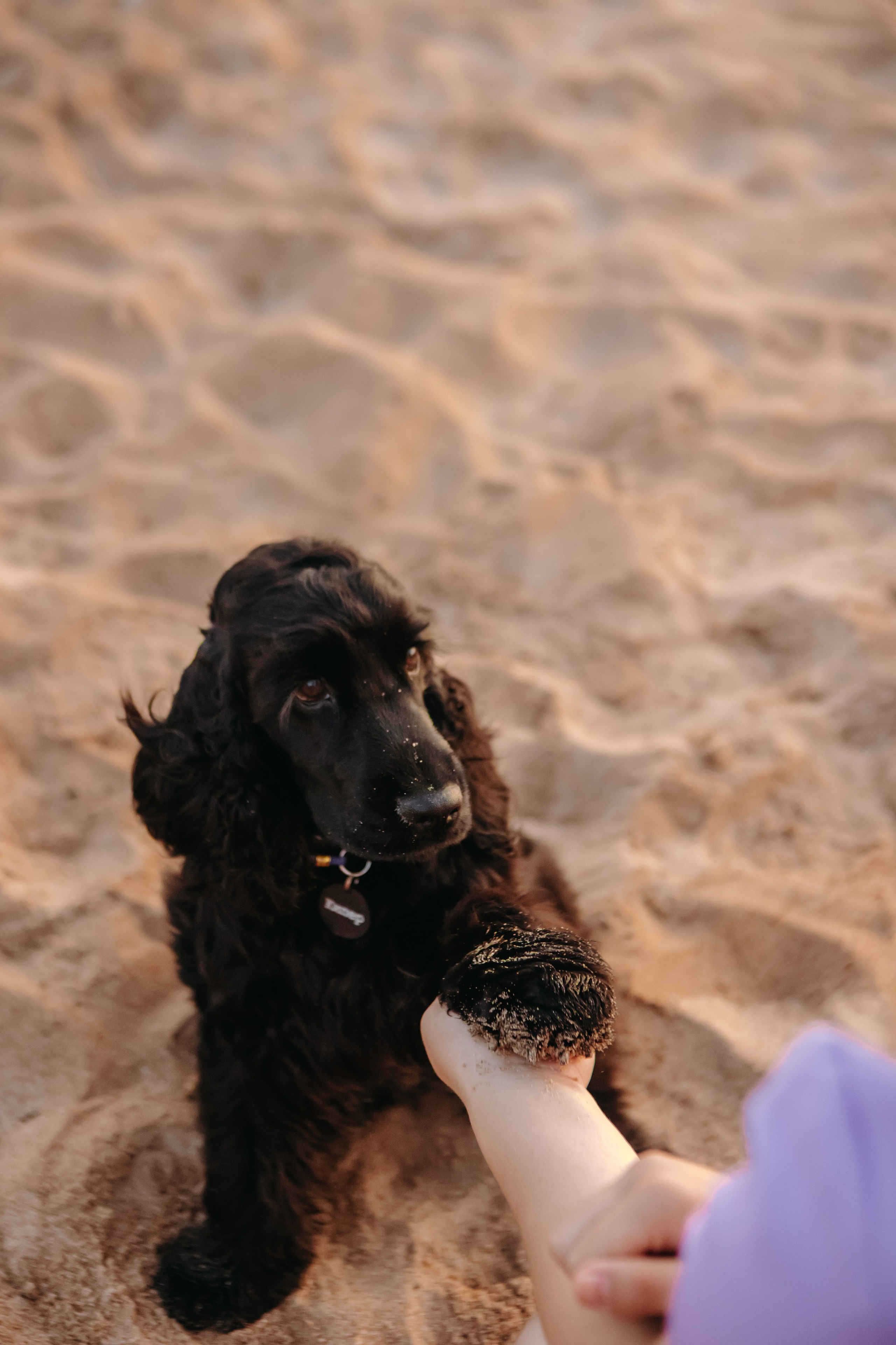 Три поколения. Фотограф-анималист в Санкт-Петербурге Алина Яхонт