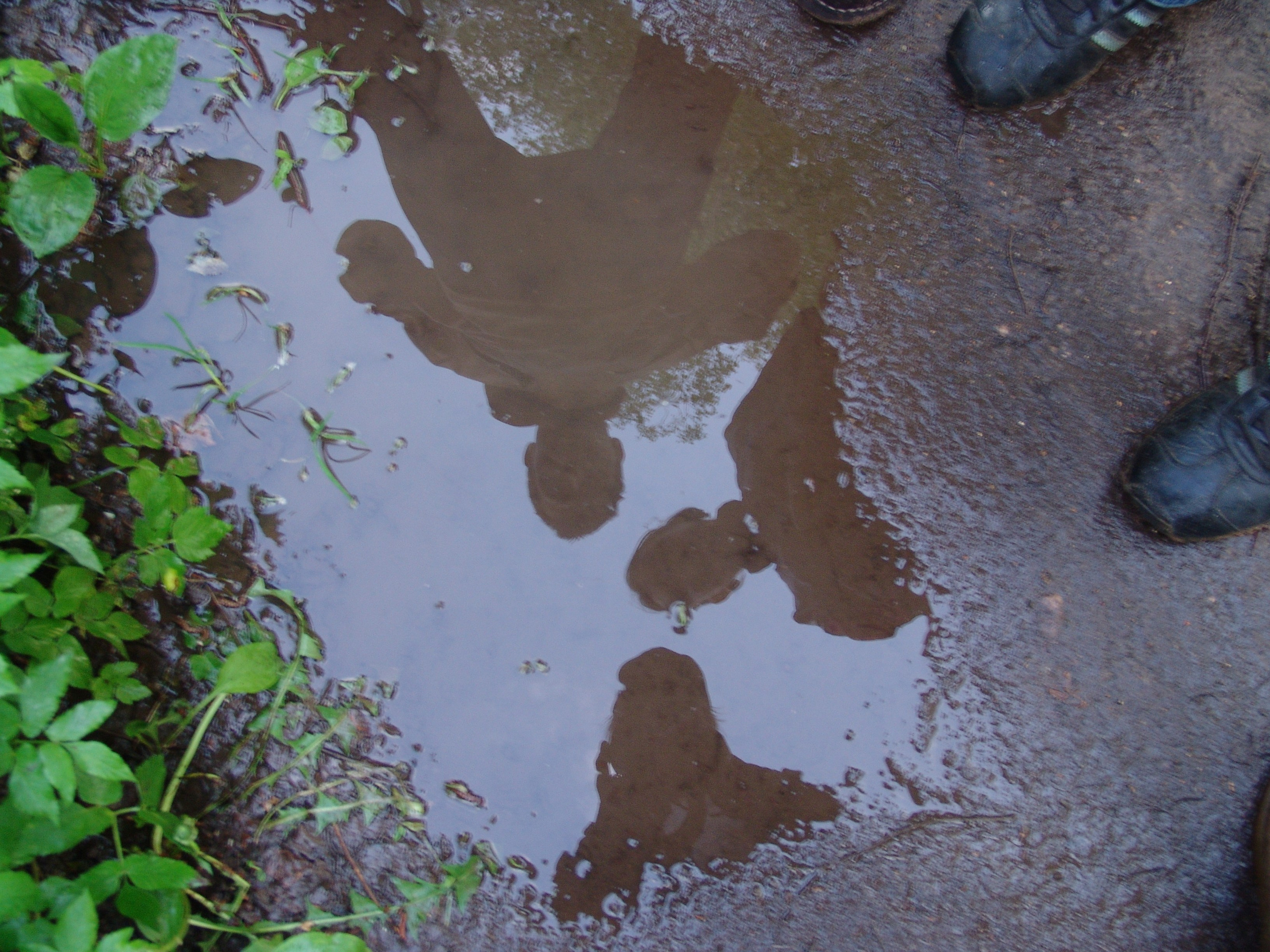 Приезд КС 2005. Заставка