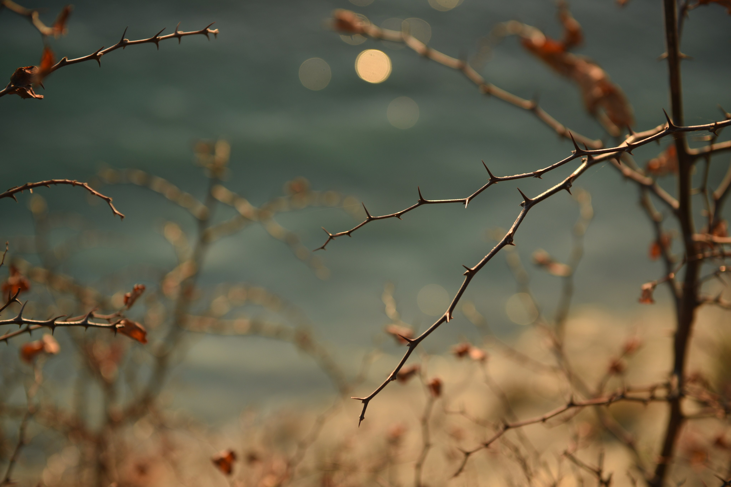 Nature. Anastasia Serdyuk, travel photographer, travel photo, portraits, stories, fineart prints