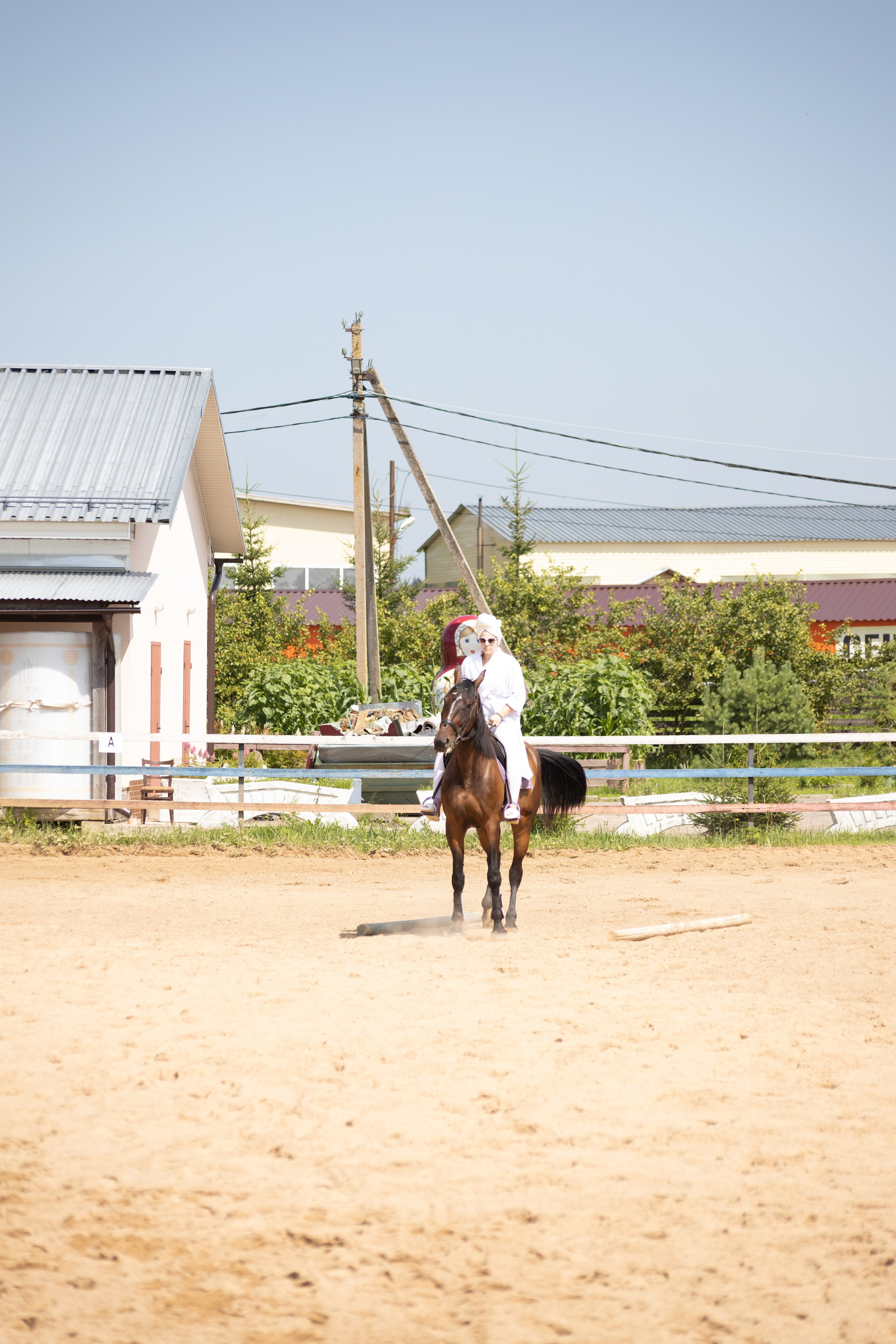 Конюшня. Фотограф в Москве и Истре
