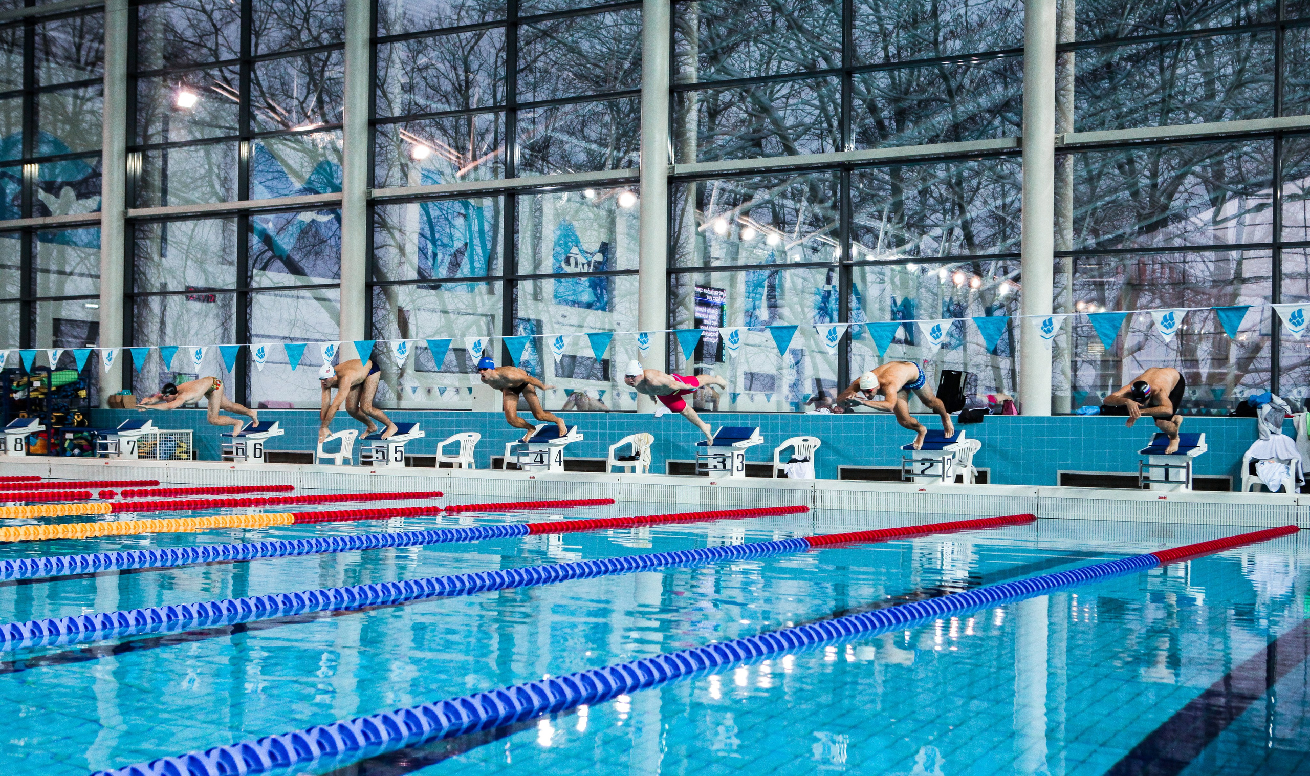 Соревнования по плаванию. Репортажный, семейный, свадебный, портретный фотограф