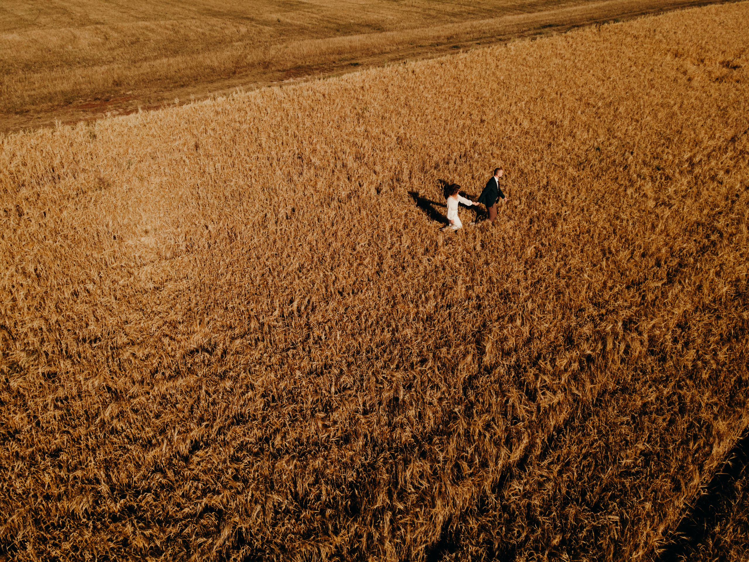 Лиза & Сергей. Свадебный фотограф Москва и Московская область