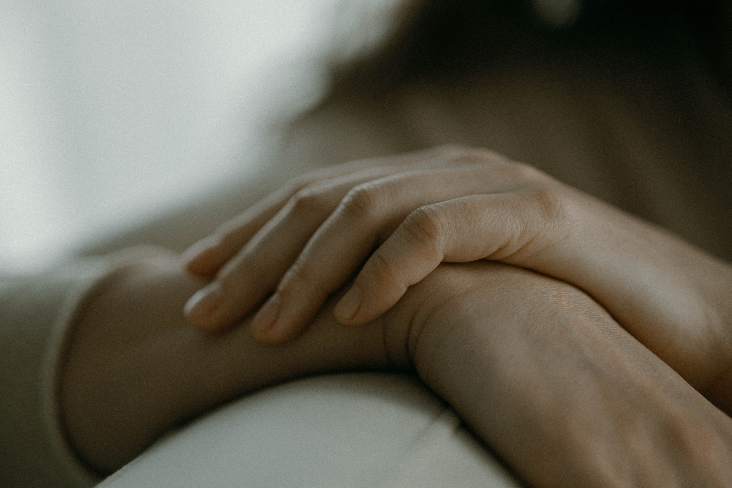 Лилия. Фотограф Жанна Лефлер