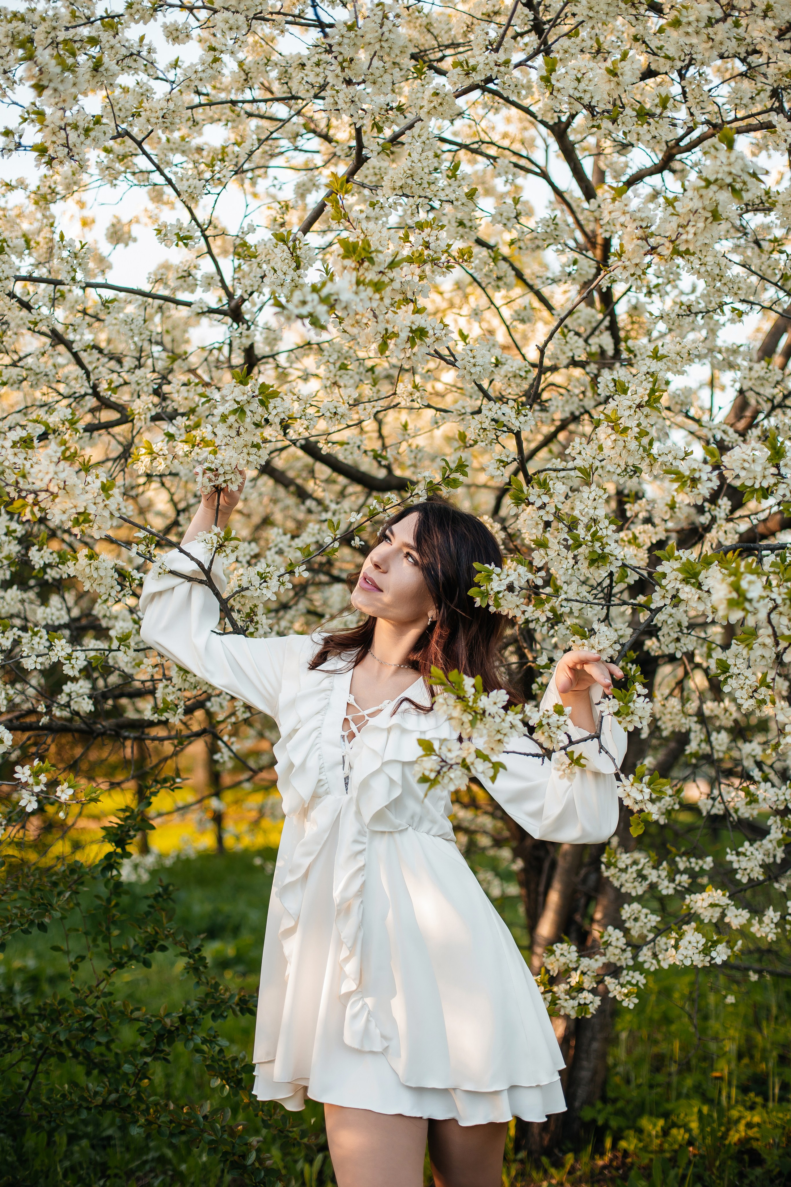 Вишня. Анастасия Давыдова