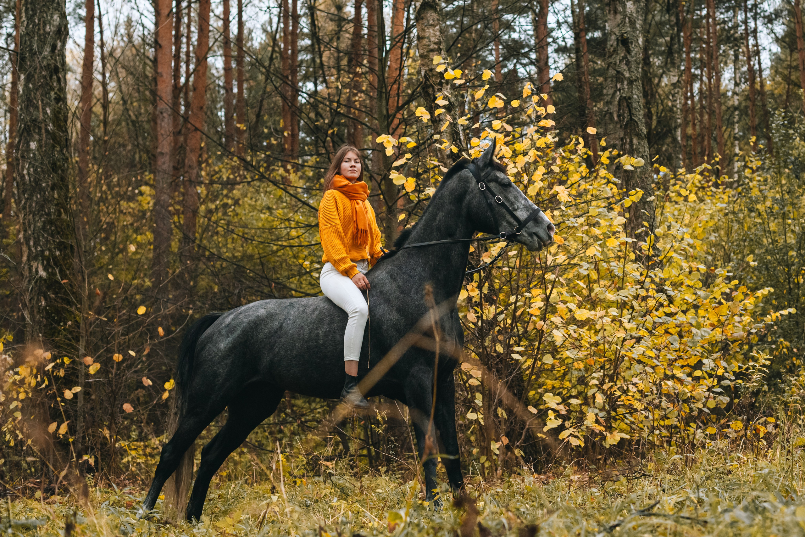 Аня и Джози. Фотограф-анималист Татьяна Степанова