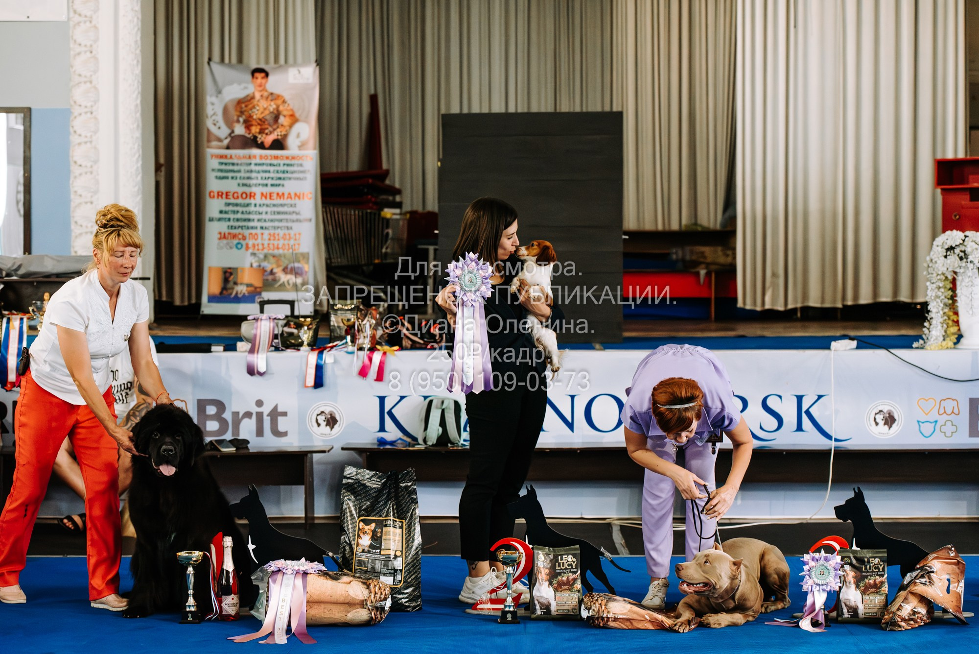 Национальная выставка собак всех пород ранга САС-IKU «Кубок Красноярск. Фотограф Диана Оленина Красноярск / Братск