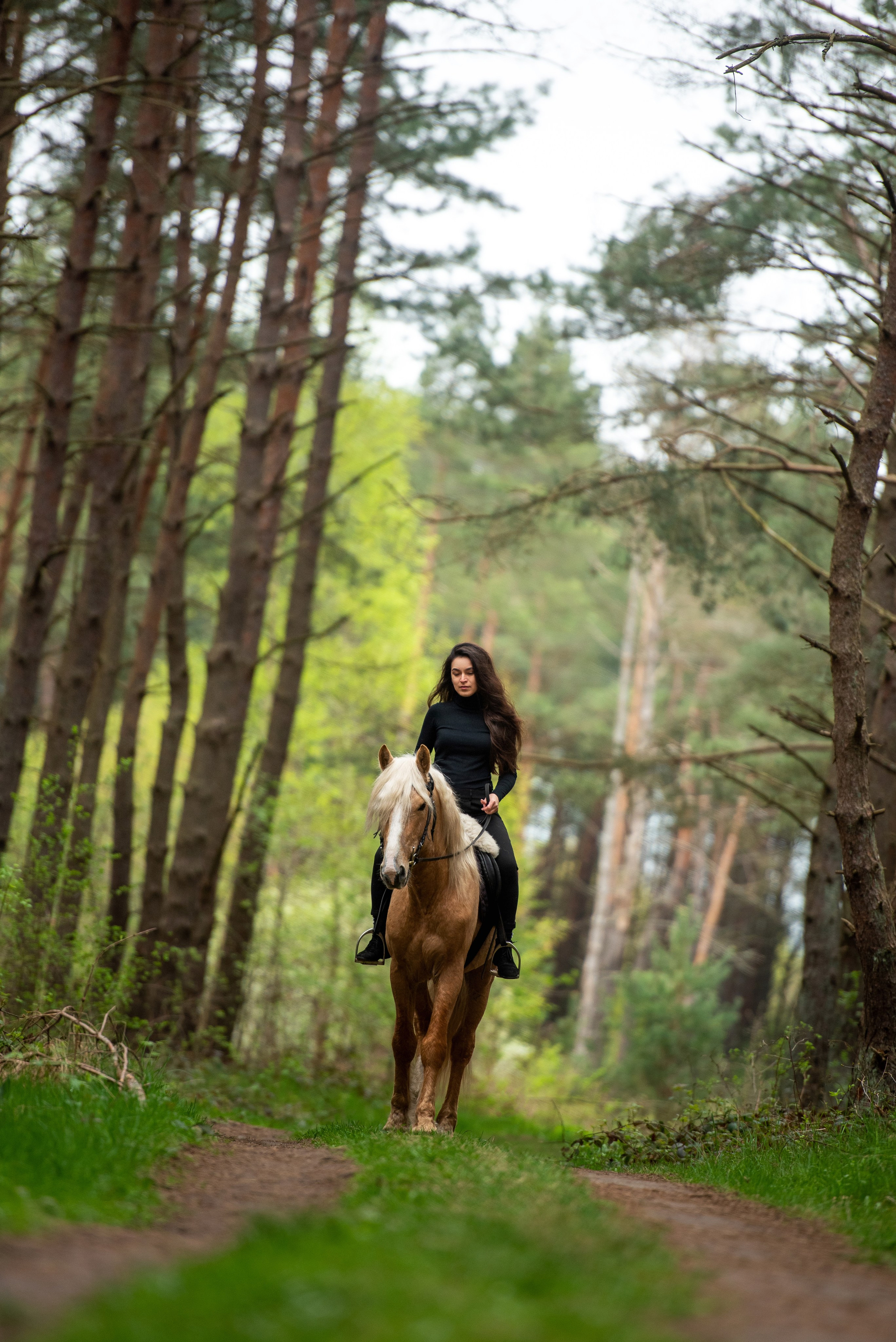 Индивидуальные. Фотограф с лошадьми в Калининграде Татьяна Ларина