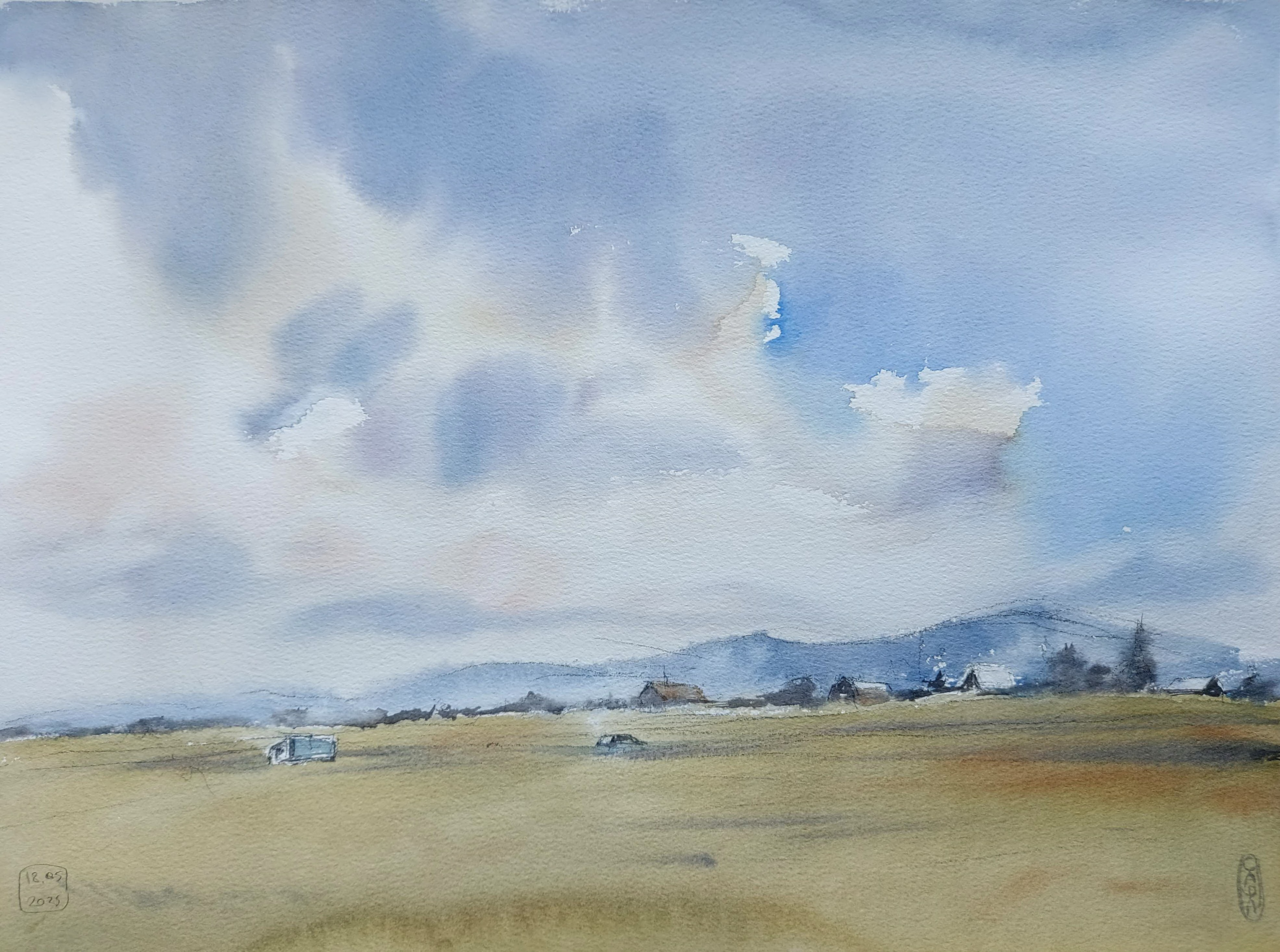 The former forest plantation | Krasnokamensk, Zabaykalsky Krai, Russia | May 2025 | A3