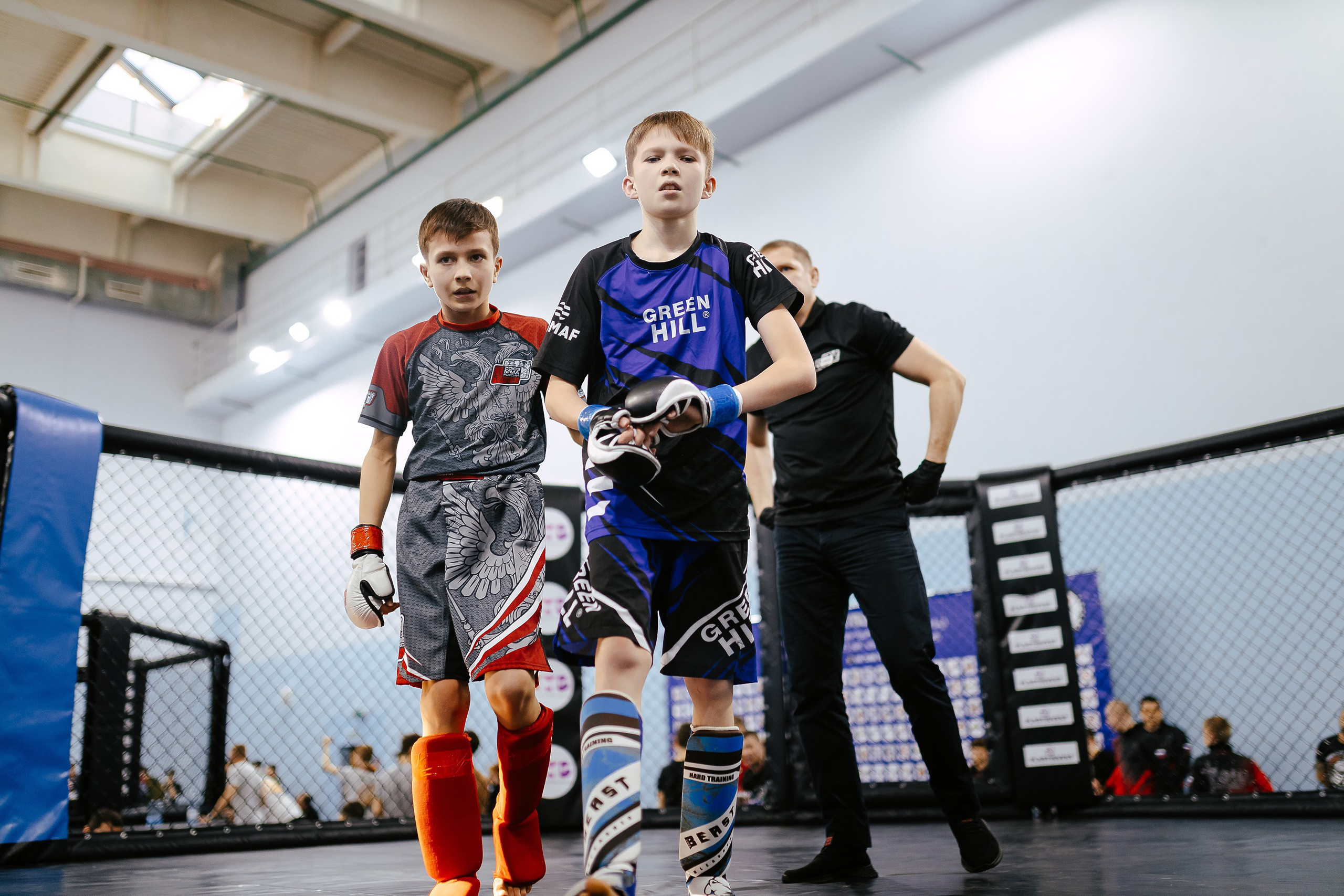ММА