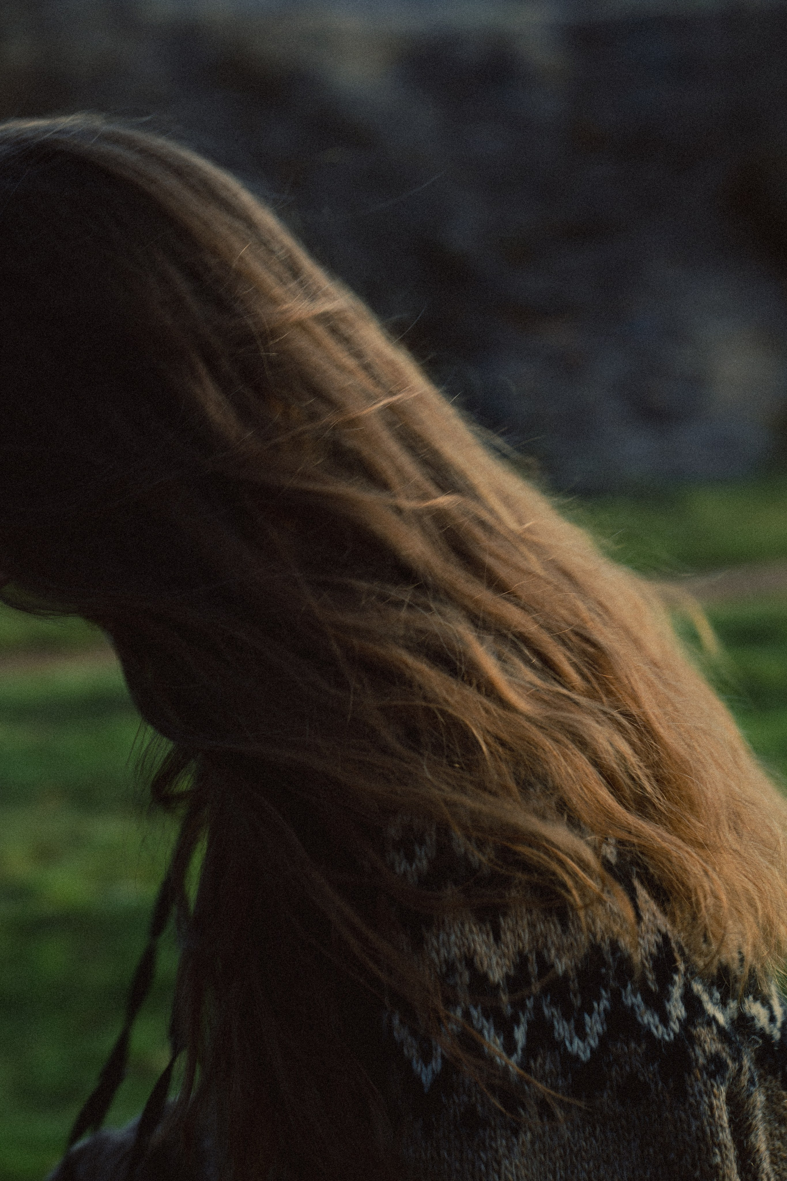 Elena Raya • Photographer