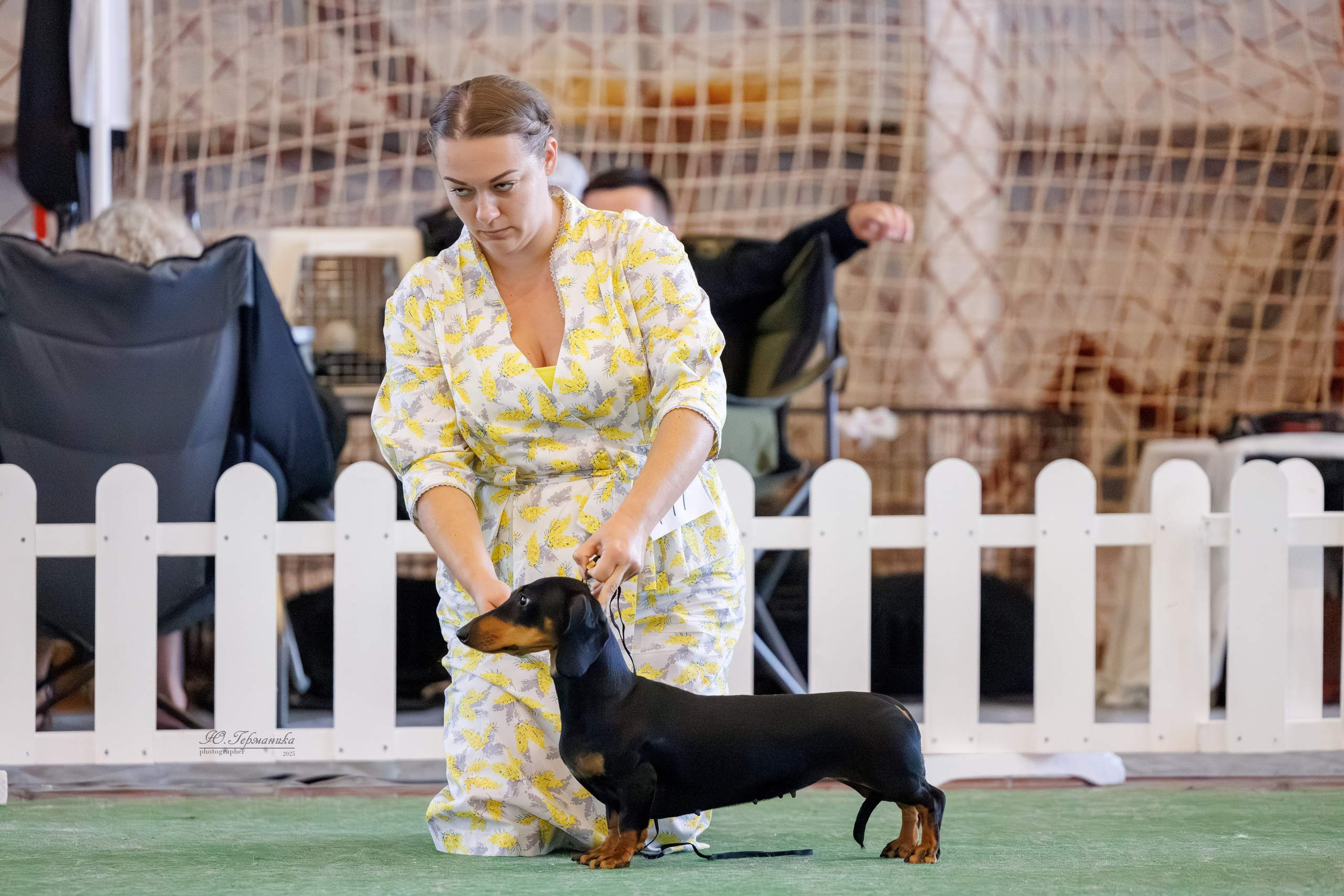 Батуми 3хCACIB 27-29.06.2025. Фотограф-анималист Юлия Германика