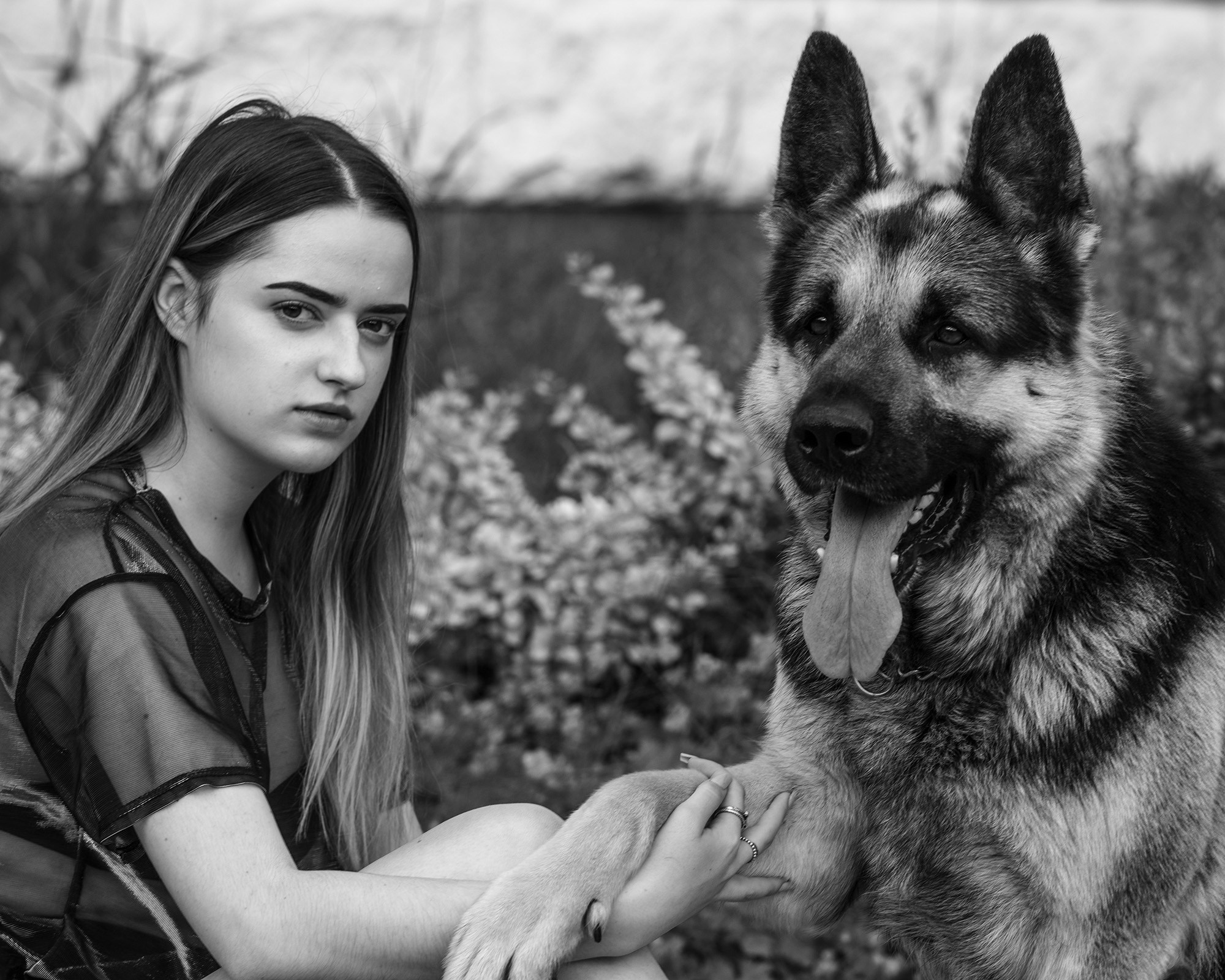 Туман и Мила